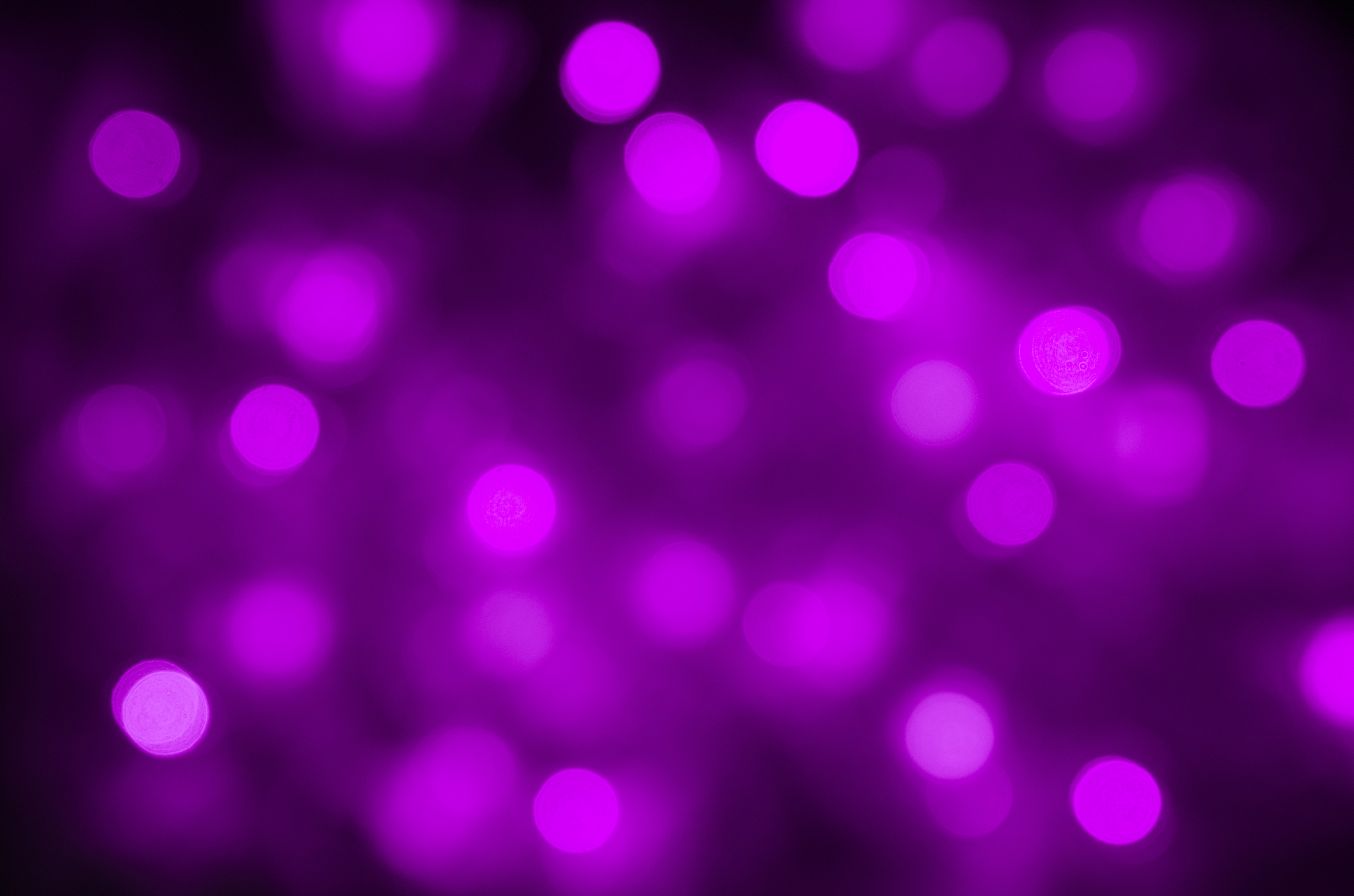 小学三年级数学课程教学大纲：详细内容解析