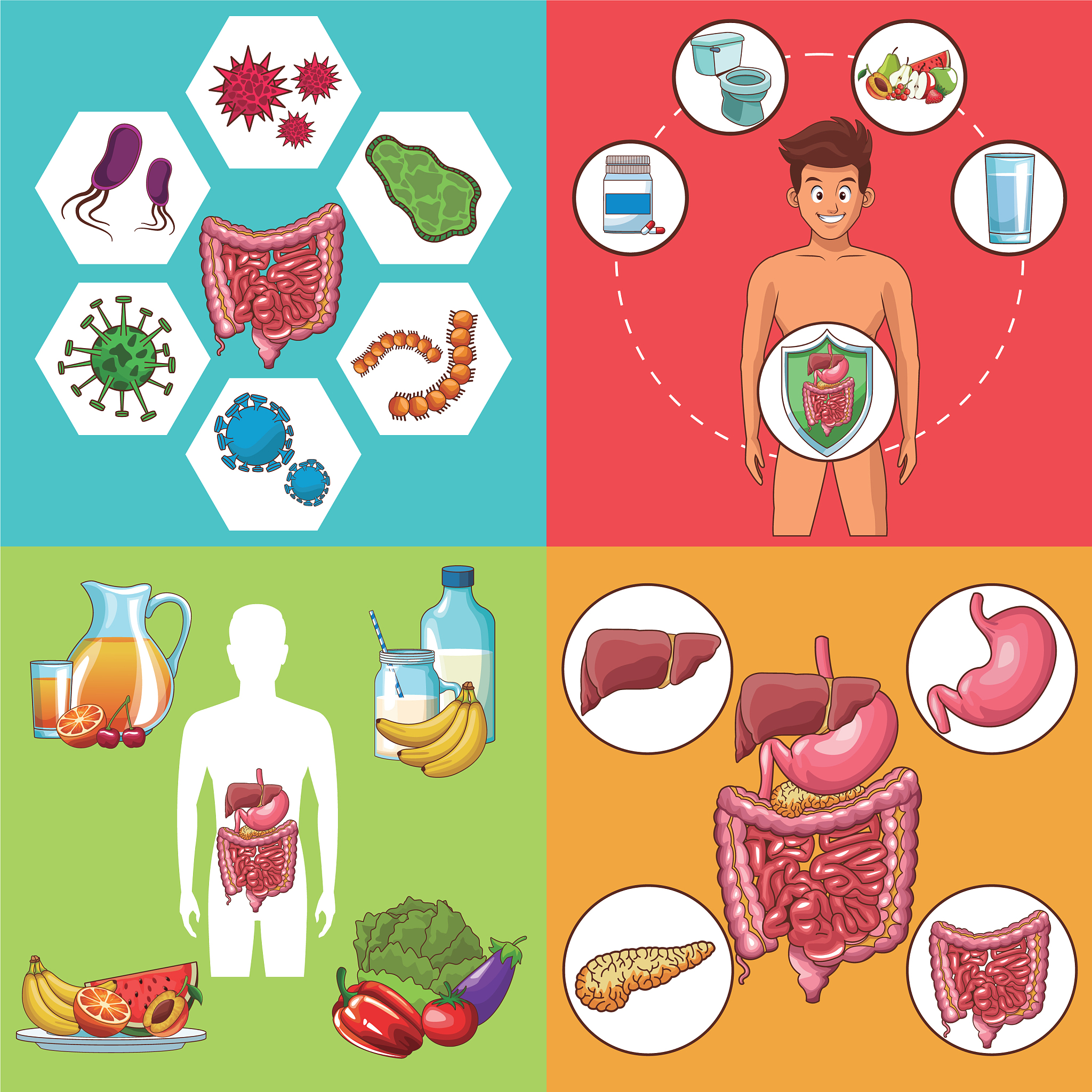 材料1：运化食物水谷脾为后天之本气血生化之源运化水谷机制：①脾气升清；②阳气温煦。运行水谷的内涵：①脾能将水谷化为精微；②脾气转输精微脾气转输精微的途径：1上输心肺化生气血通过心肺布散全身脾气散精上归于肺。材料1使用了太多的文言文这使得它难以理解。请将材料1转换为简单易懂的中文。