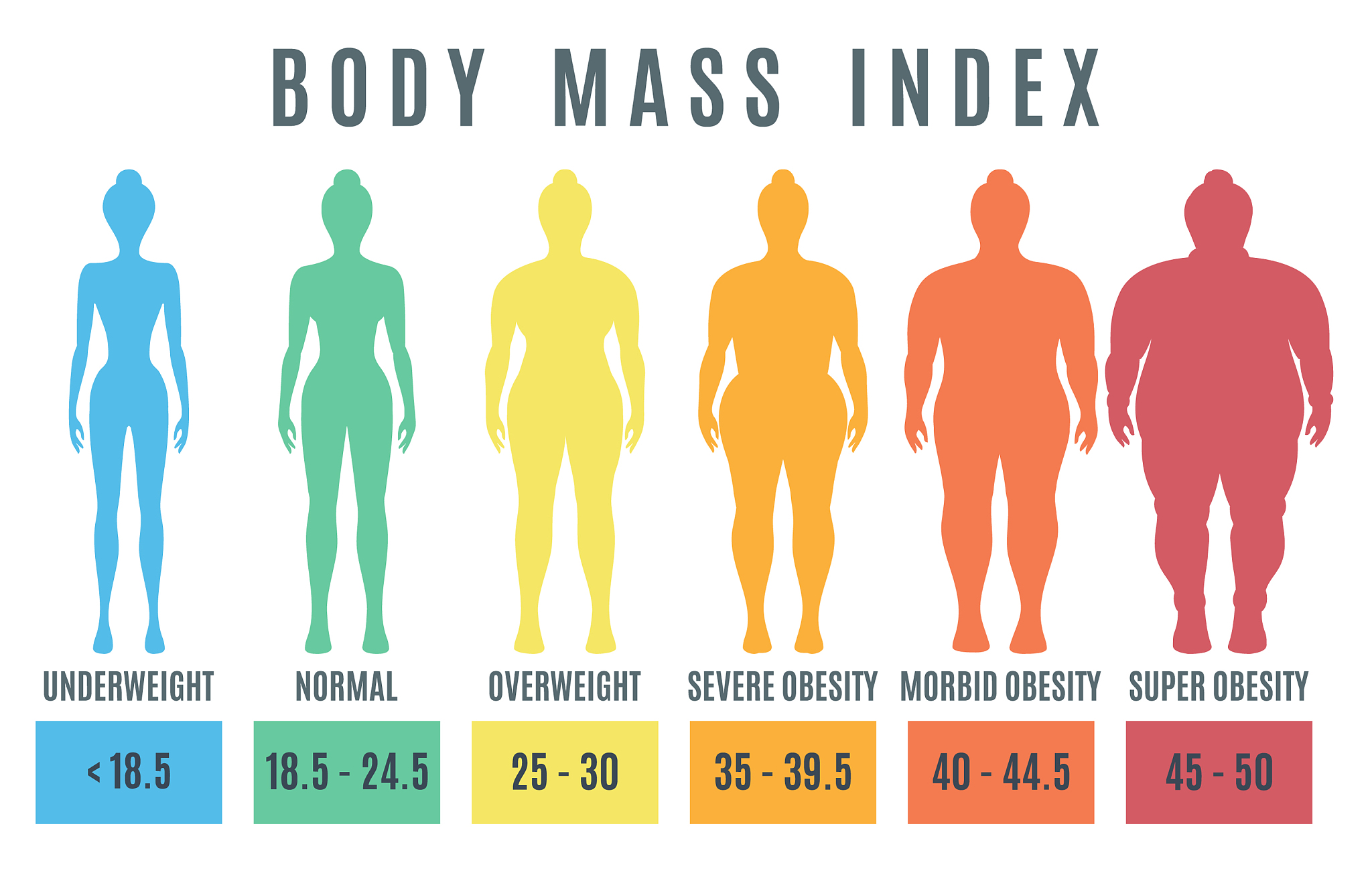 BMI 指数：了解你的健康状况和风险
