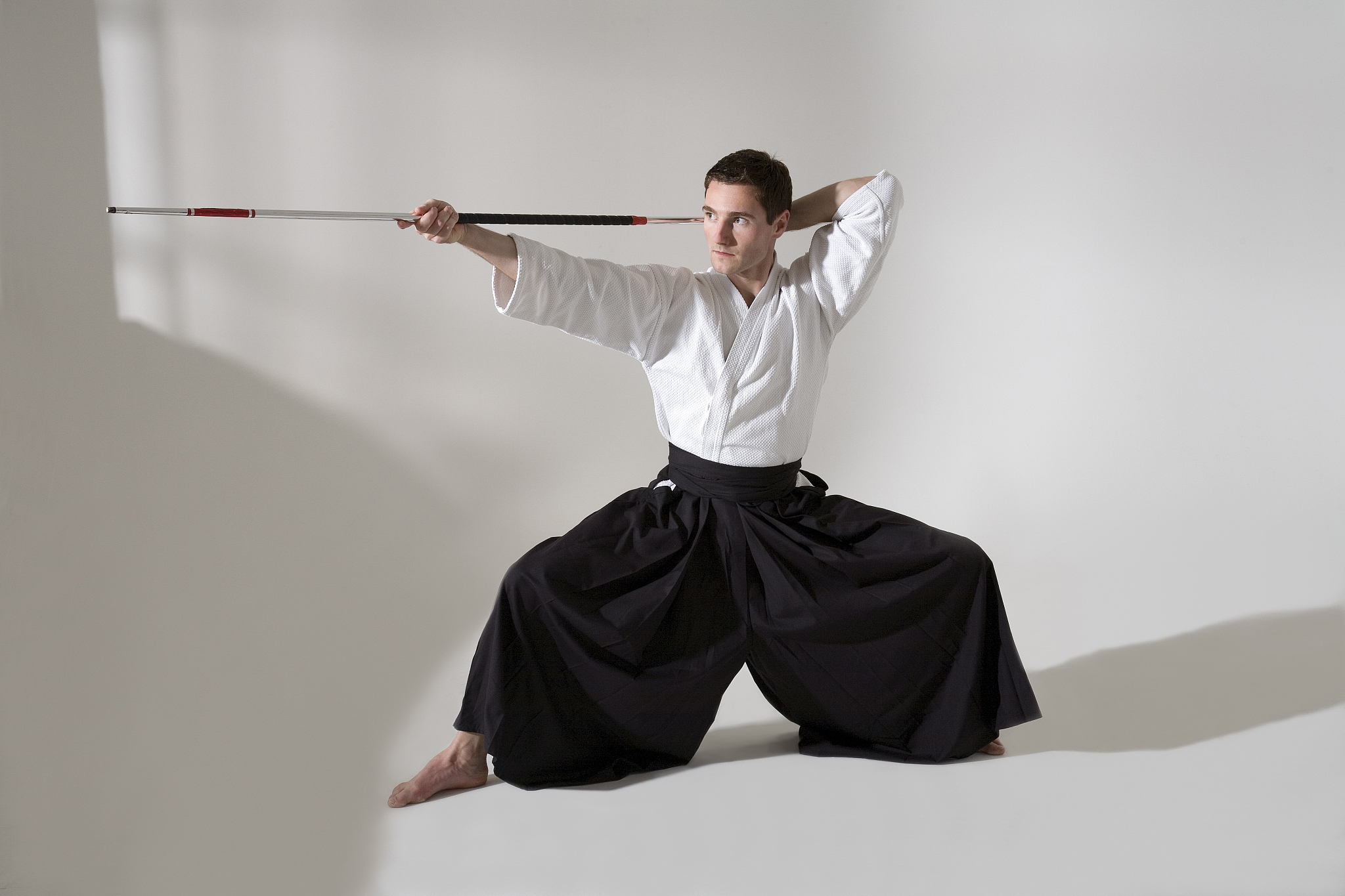 kendo fighter