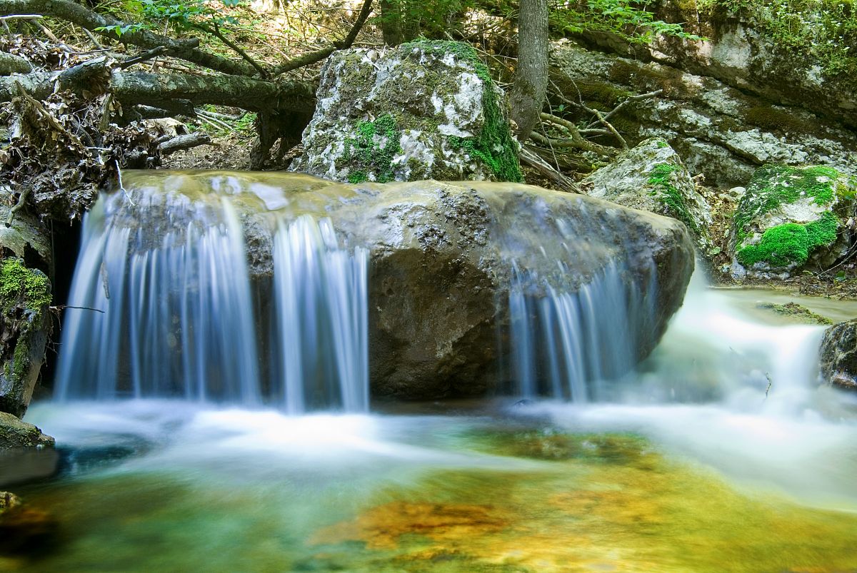 春日登山记：与友同行，探秘自然🌸🌿🌊🏔️