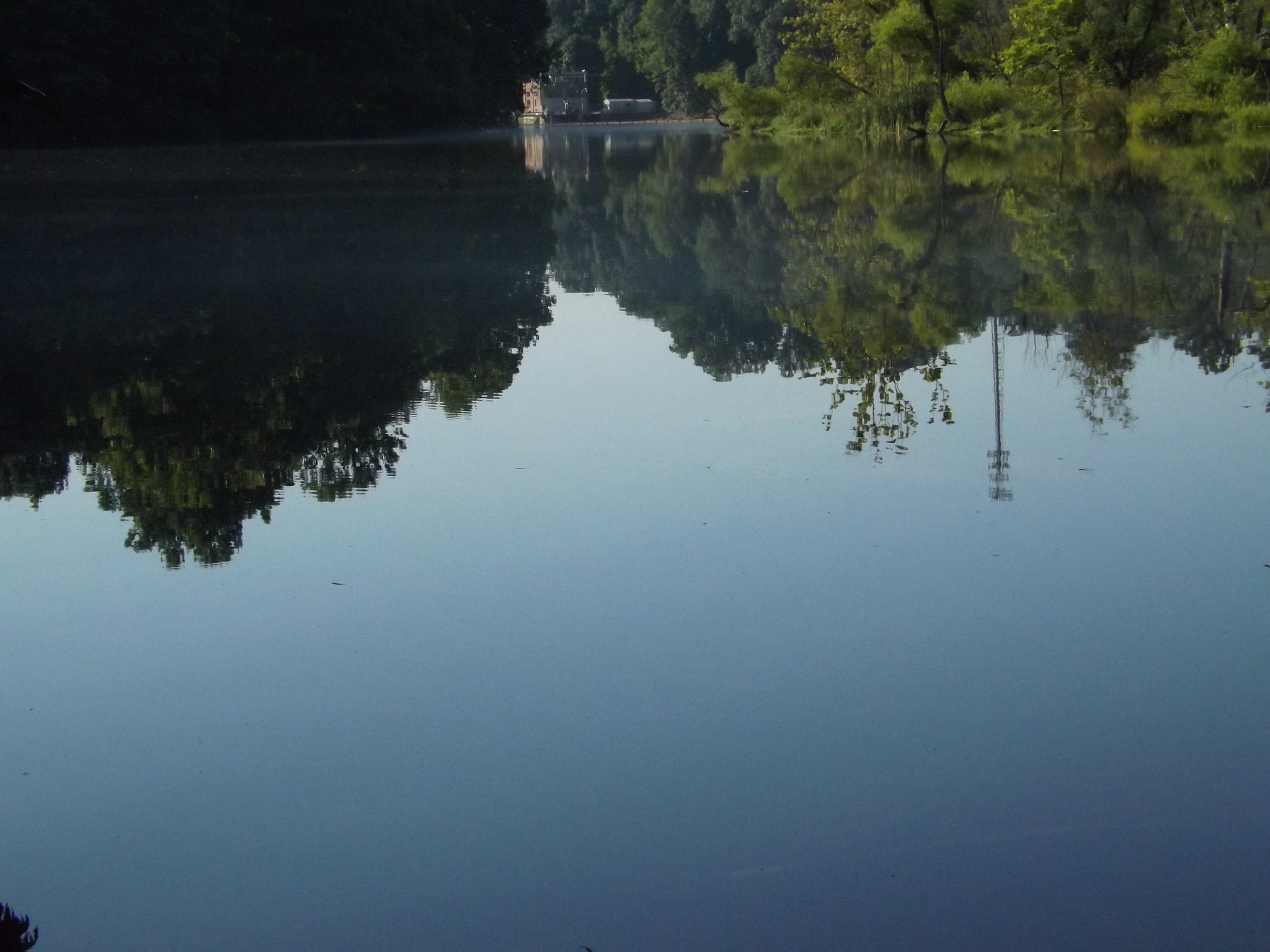 reflection of trees on calm lake
