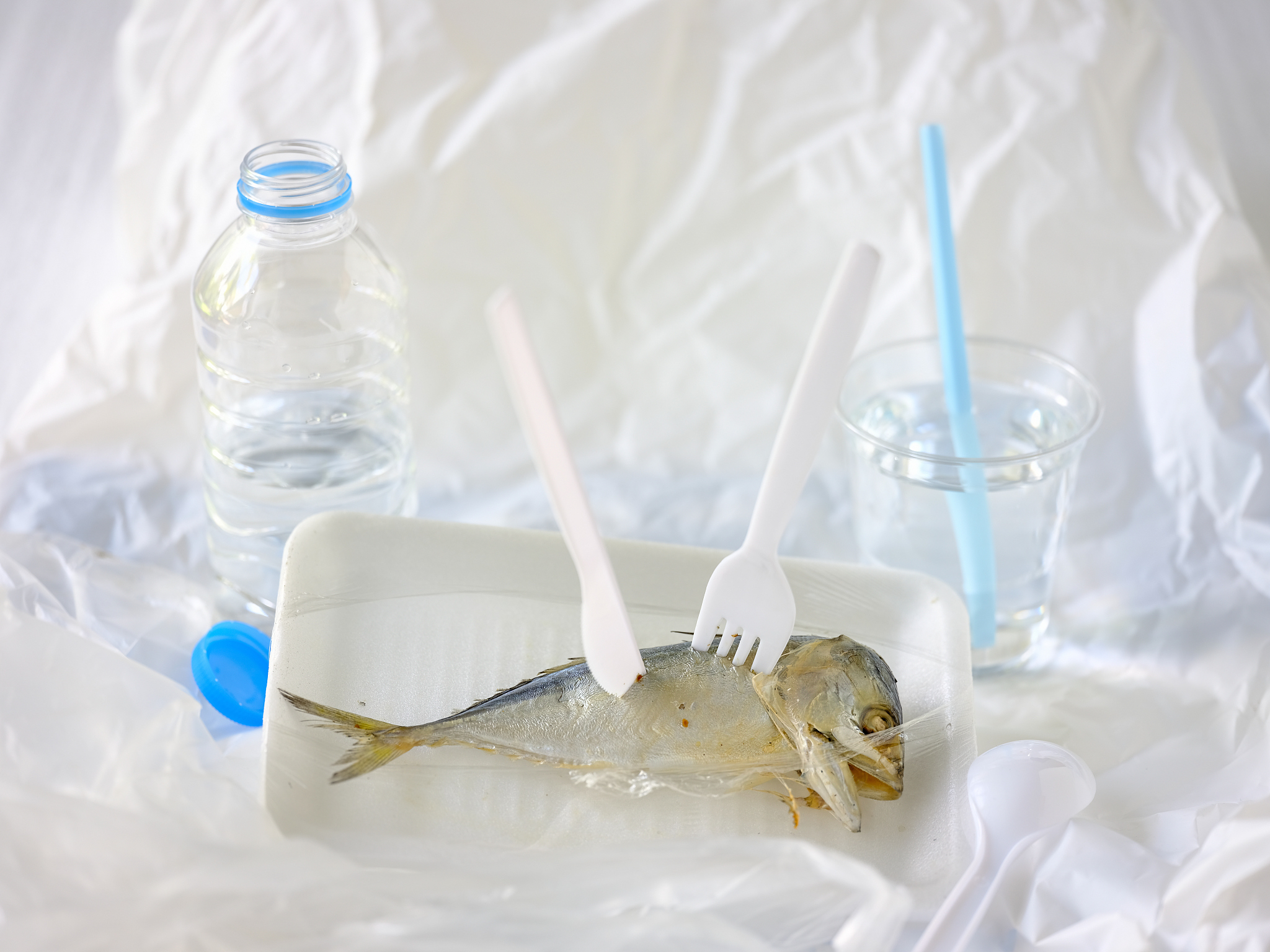 聚乙烯(PE): 结构、性能、应用及合成方法深度解析