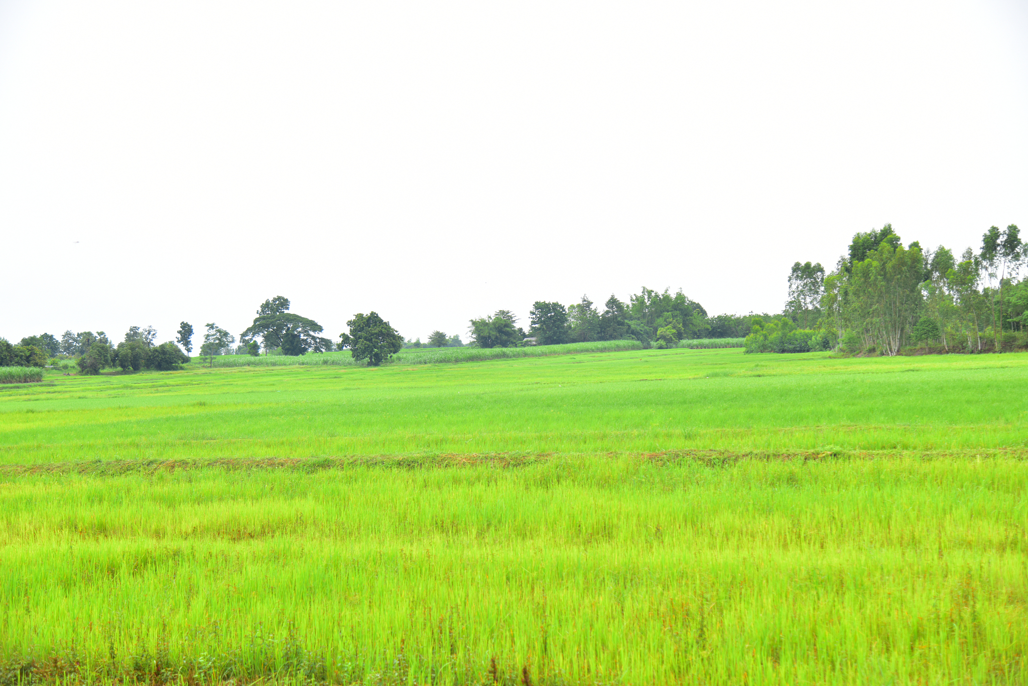 曲靖农业学校2019年五年制大专招生专业介绍