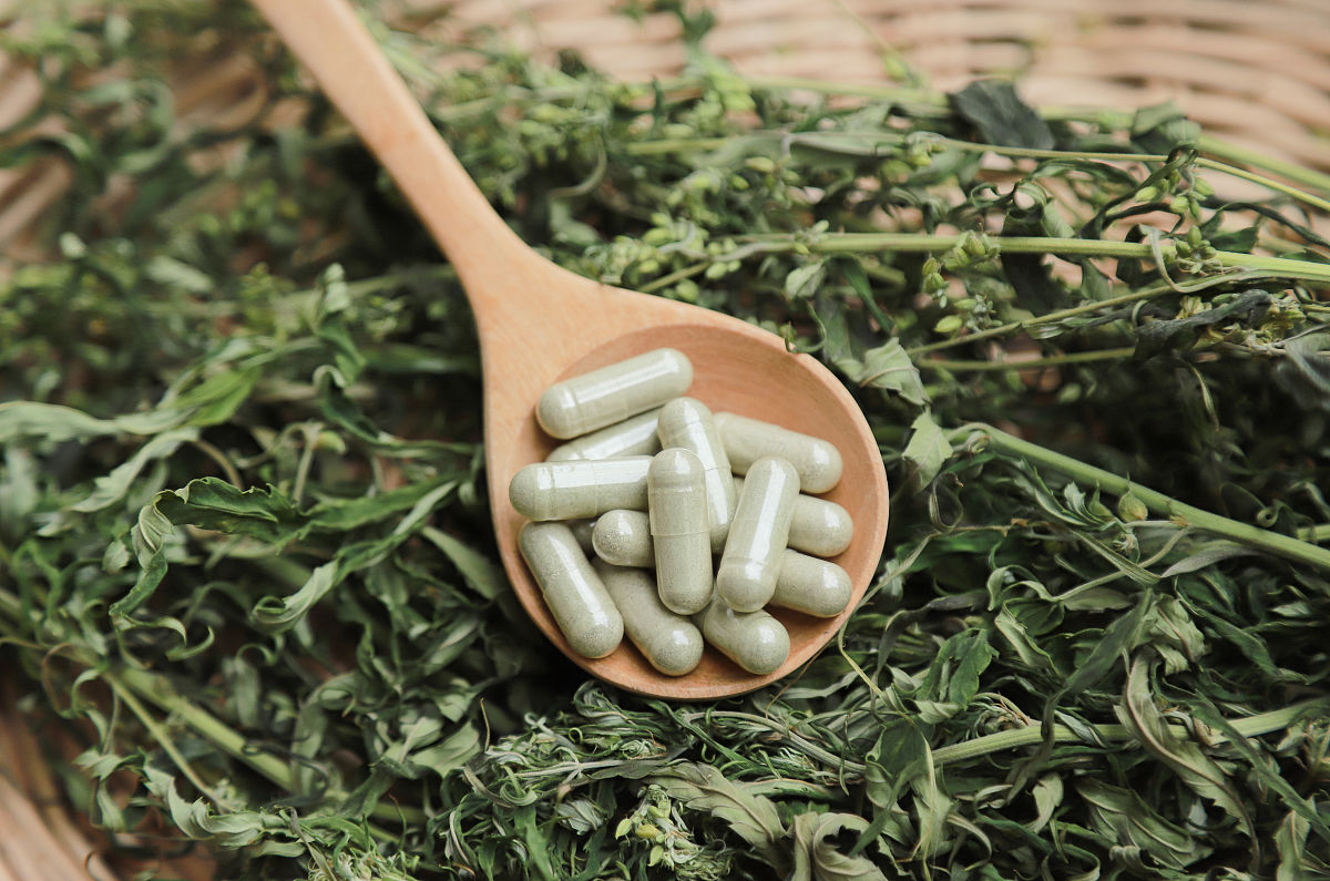 南同堂牌羊胎盘：10个你需要知道的关键问题