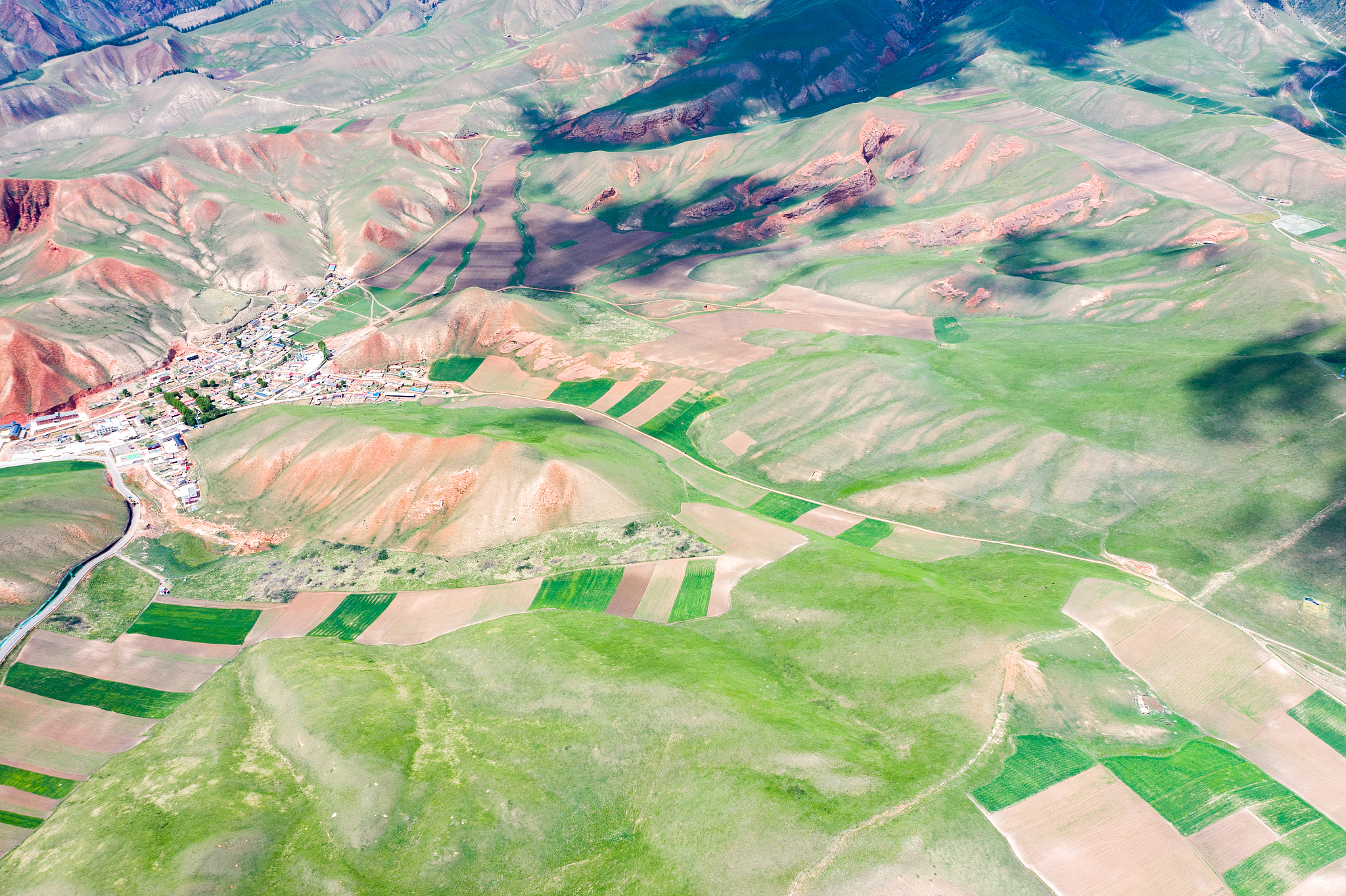 qinghai qilian zall mountain