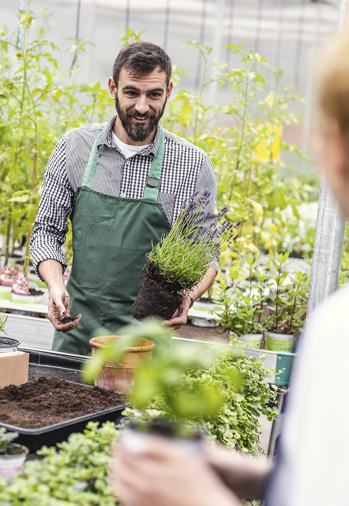 广西农业职业技术学院单招2023年单独招生有哪些专业