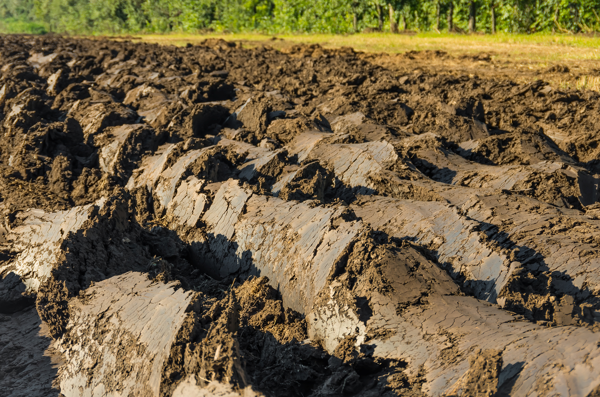 南疆的盐渍土问题