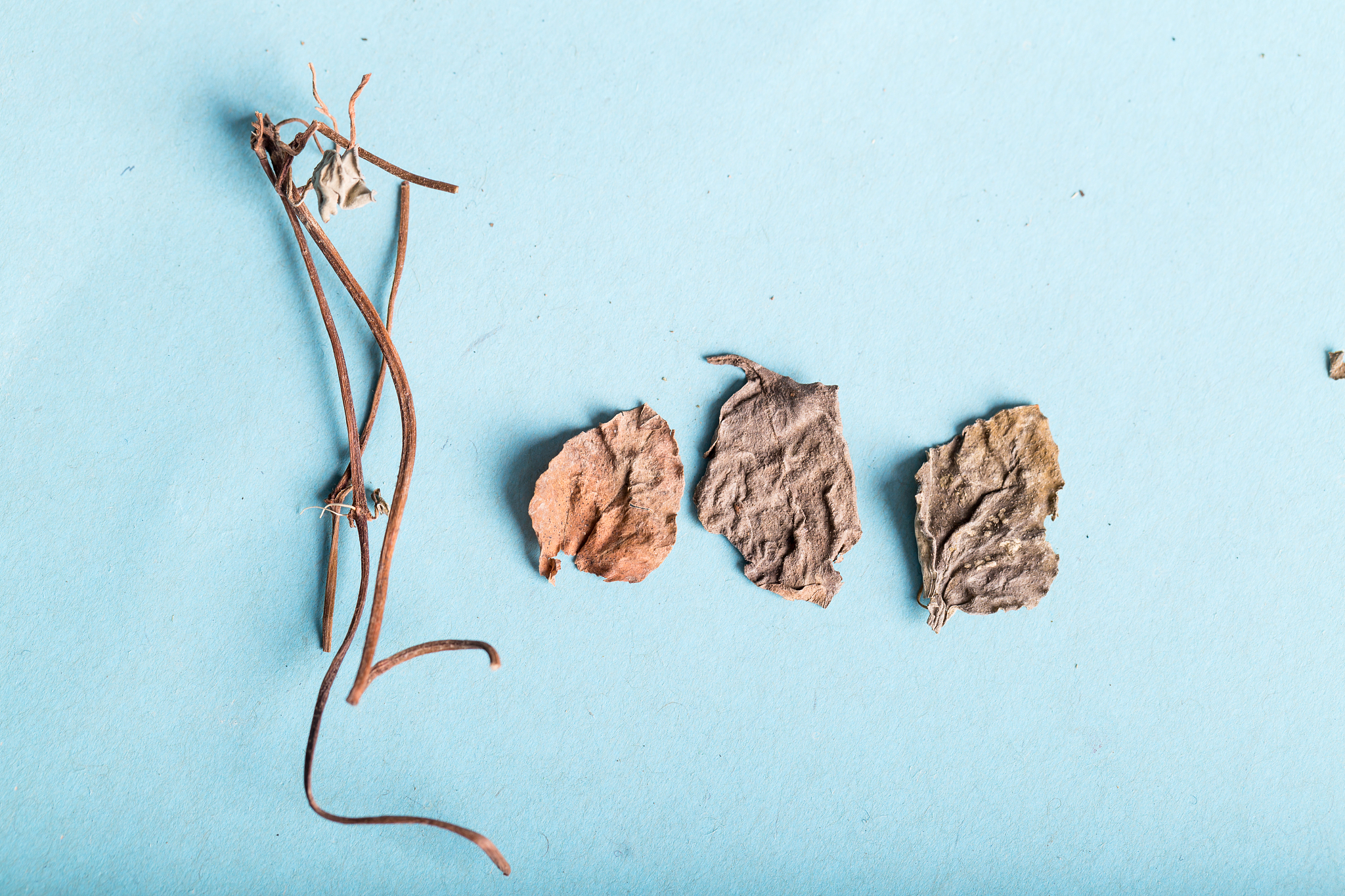 It aims to provide new ideas and approaches on how to further identify potential combinations of active ingredients in Chinese medicine reduce blind tests and studies and evaluate the interaction rela