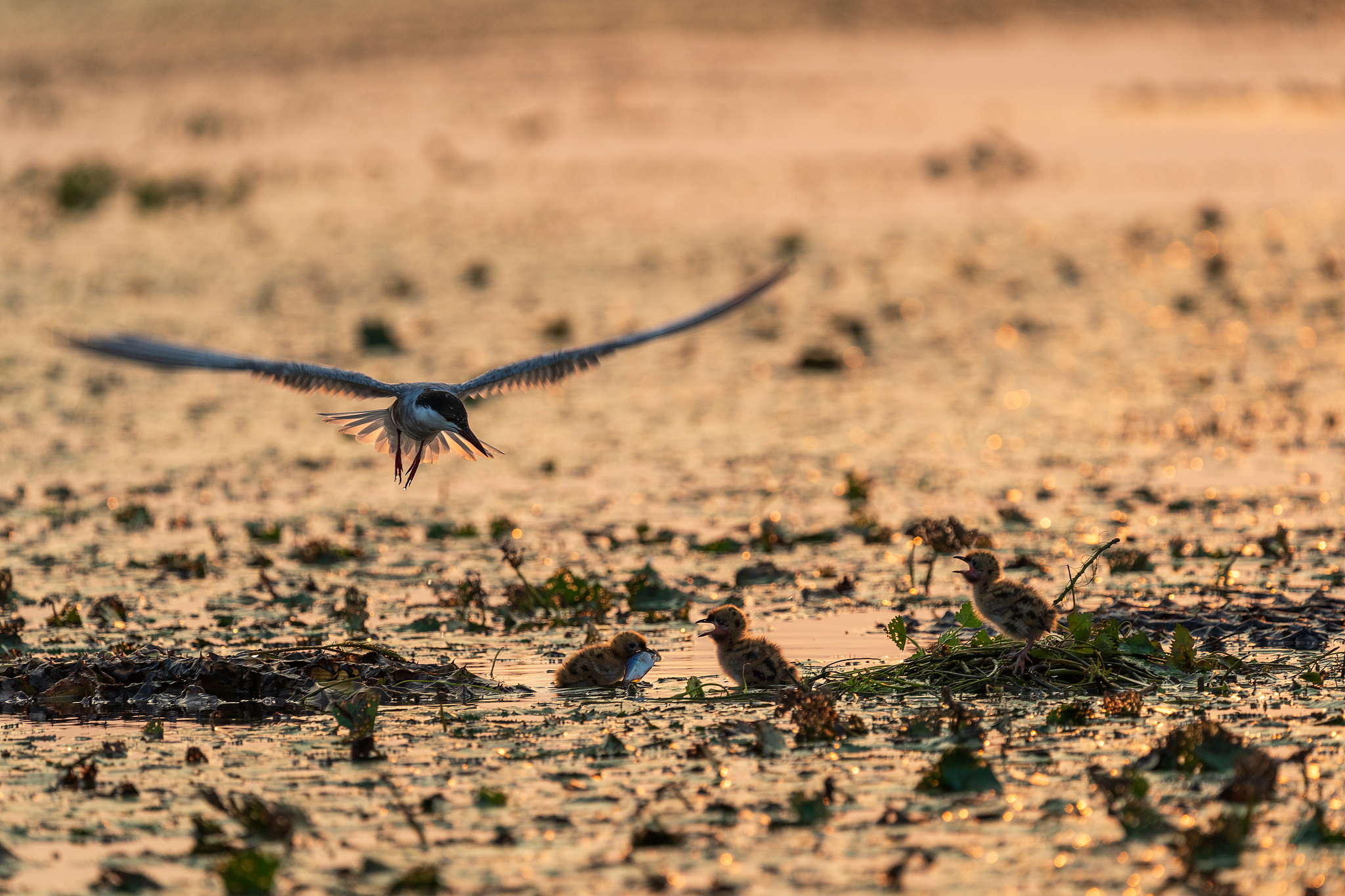 湖州交通学校2023年招生简章 | 道路运输与物流管理专业