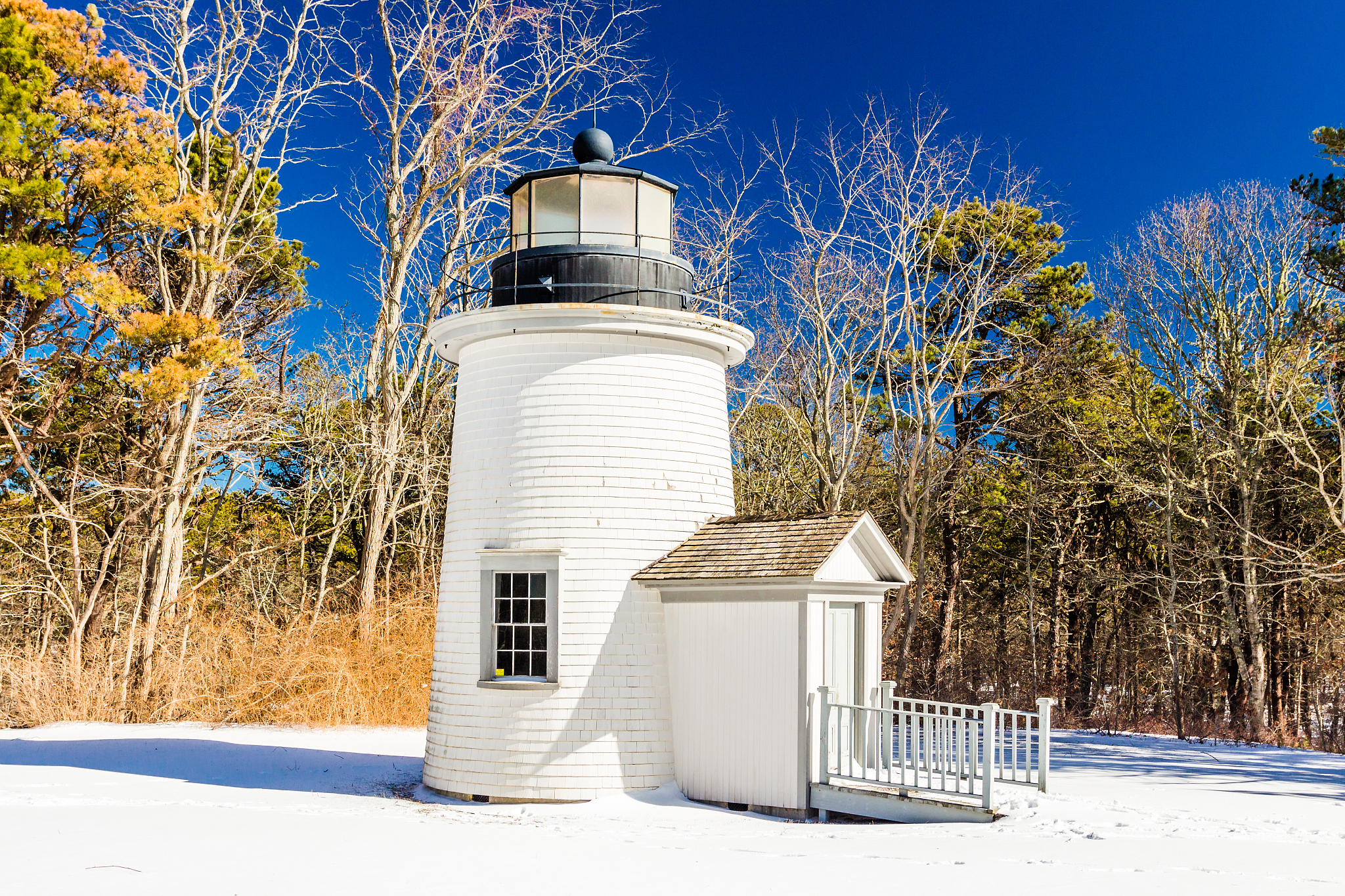自噬抑制剂3-MA在肌细胞里抑制自噬用的浓度是多少给个参考
