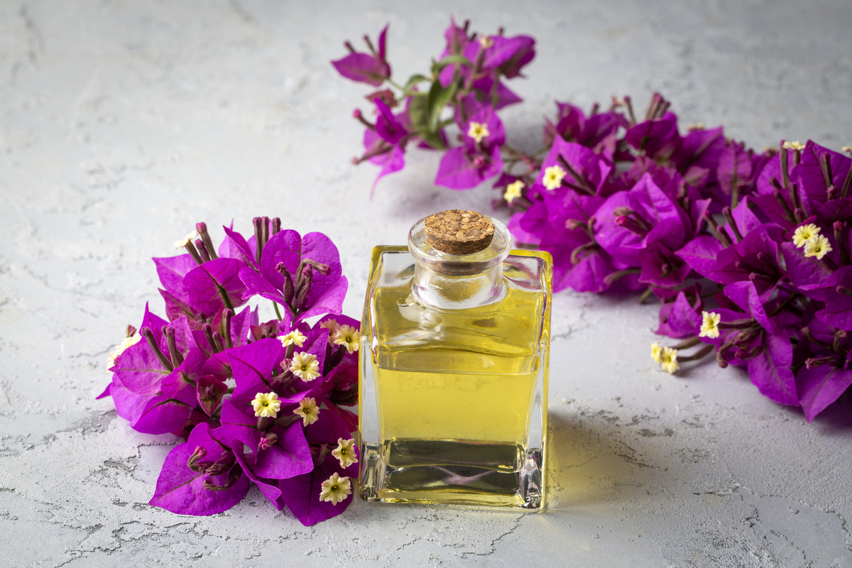 近年来越来越多人喜欢购买香氛不单单是为了好闻的味道更重要的是香氛能提升生活的幸福感有疗愈心灵的作用。在快节奏的生活和工作中常常让人感到压力和焦虑买一瓶香氛放在家中在淡淡的沁香中优哉游哉的享受惬意的慵懒时光才是最浪漫而又温馨的时刻。香氛不仅能够更好地让你放松身心也能让小窝更温馨为你的生活增添一点点小小的仪式感。香味很能体现个人品味选择适合自己的香氛非常重要西兰香氛是由国际调香大师特调的香水它添加了1