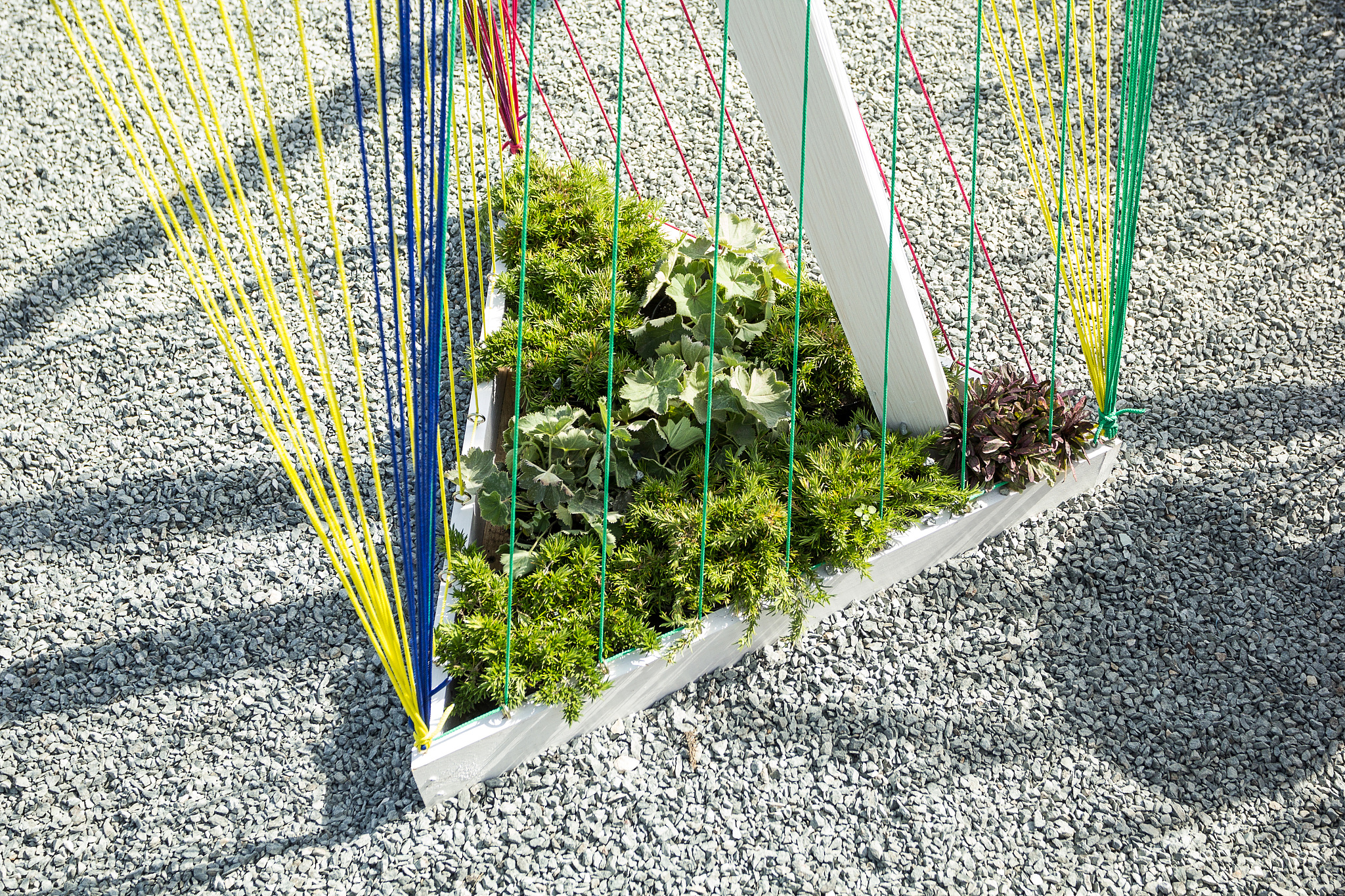 环境艺术设计专业创新产品：可持续景观到数字化体验