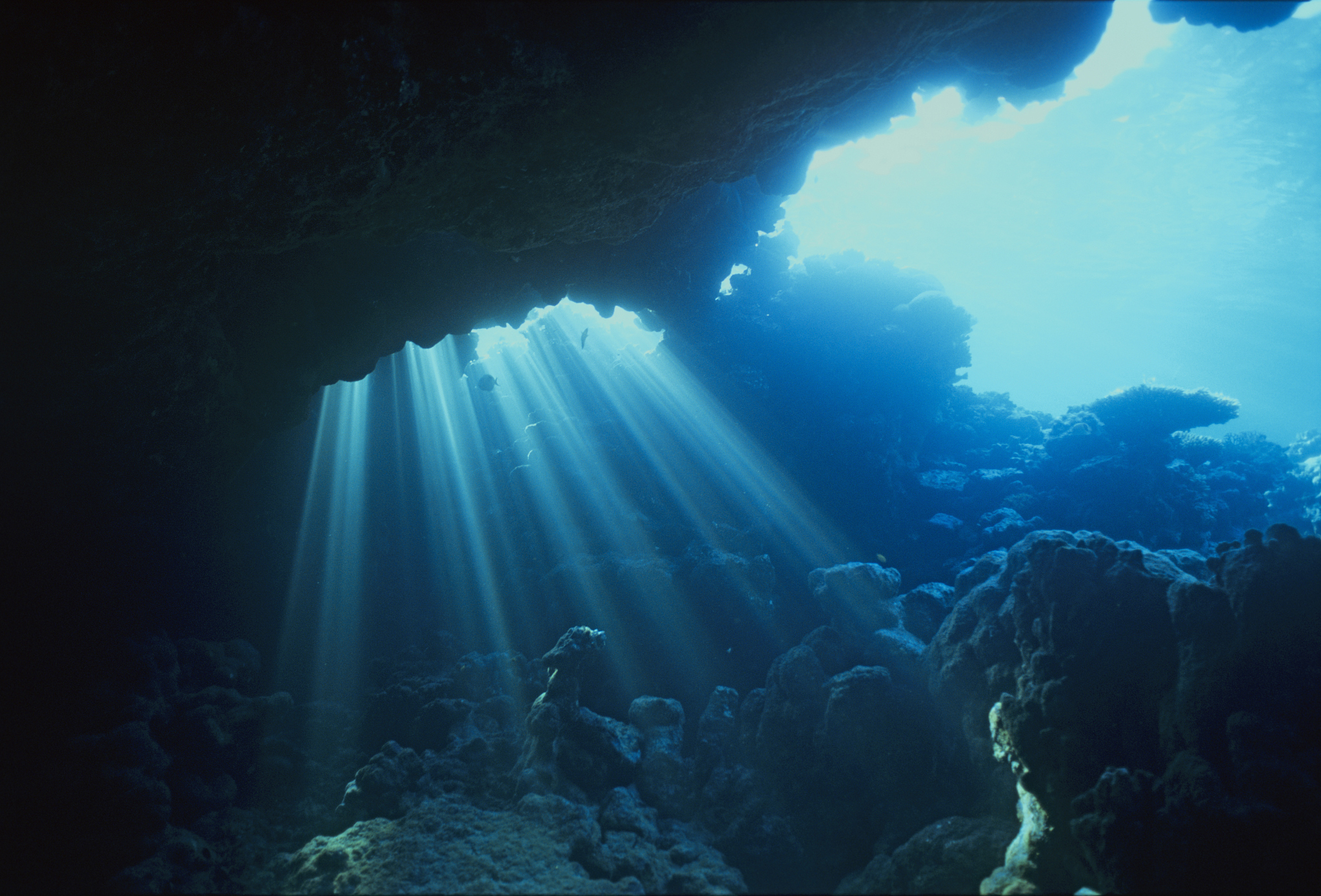 red sea, underwater view