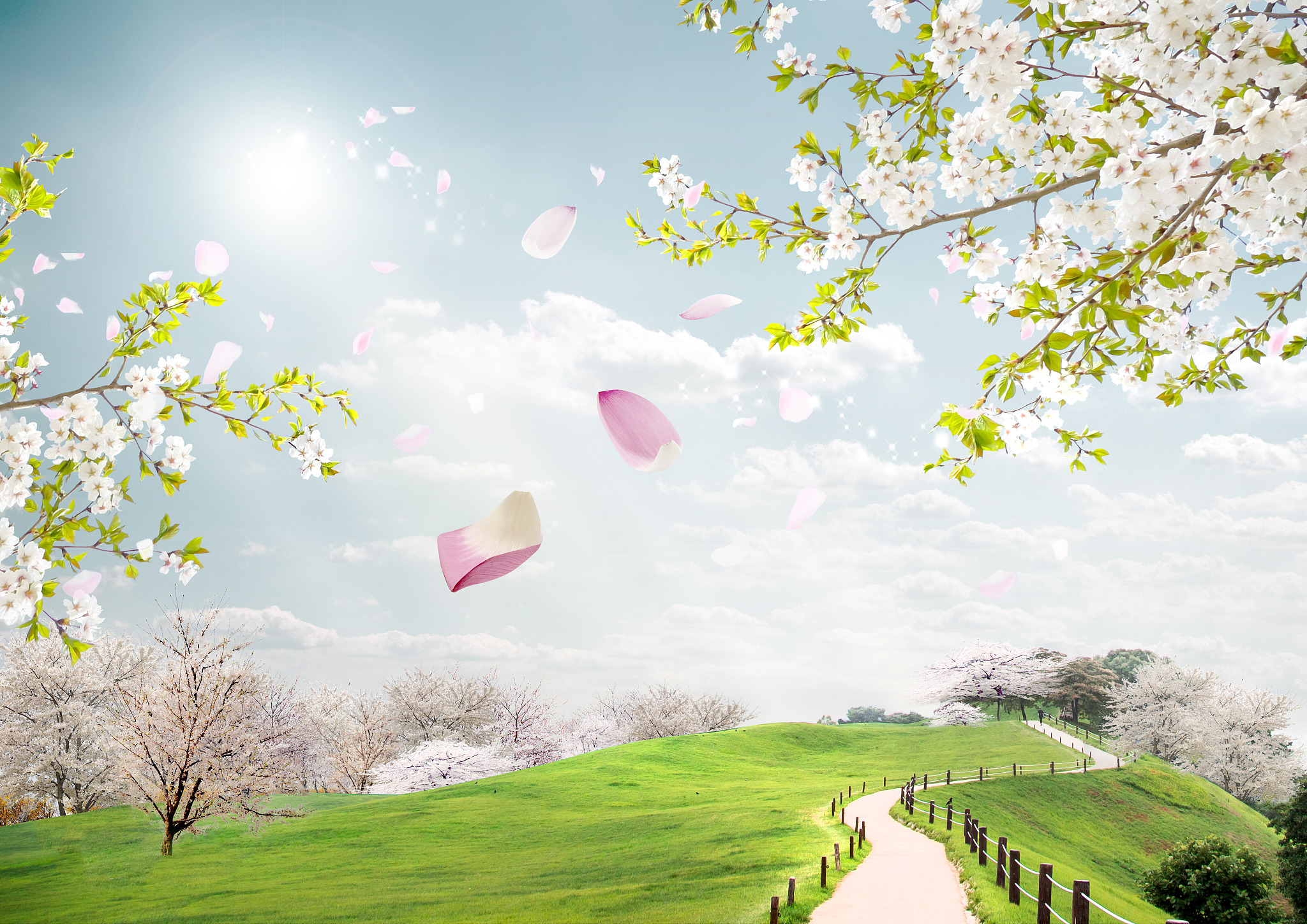 作文。关于赞美春天的