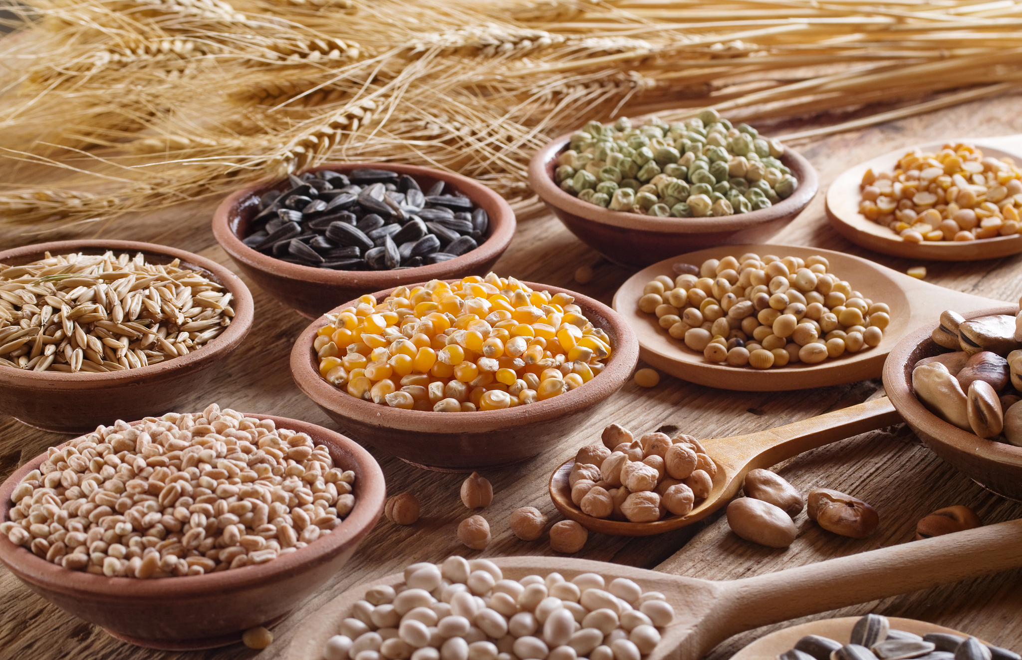 cereal grains