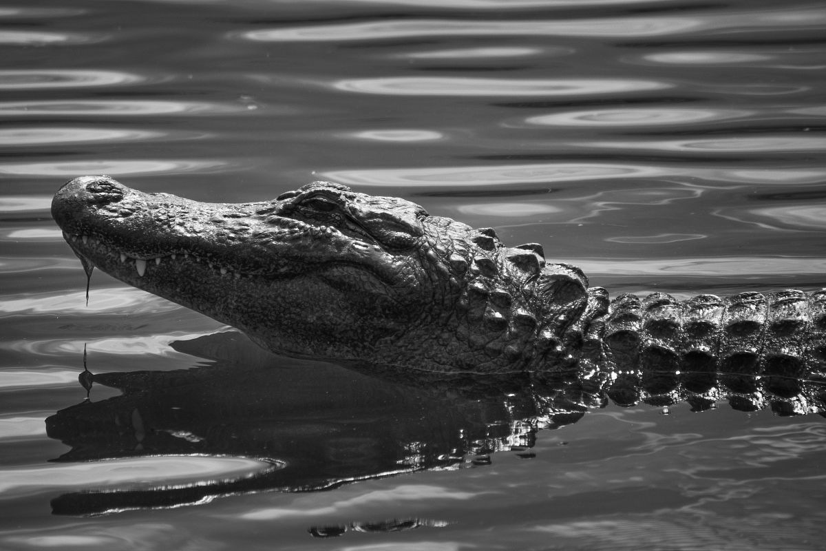 使用红外传感器的红外波长与电阻的关系