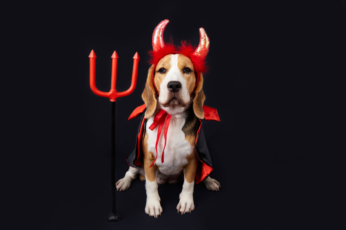 淘宝网女士帽子卖的好的店铺请列举几个