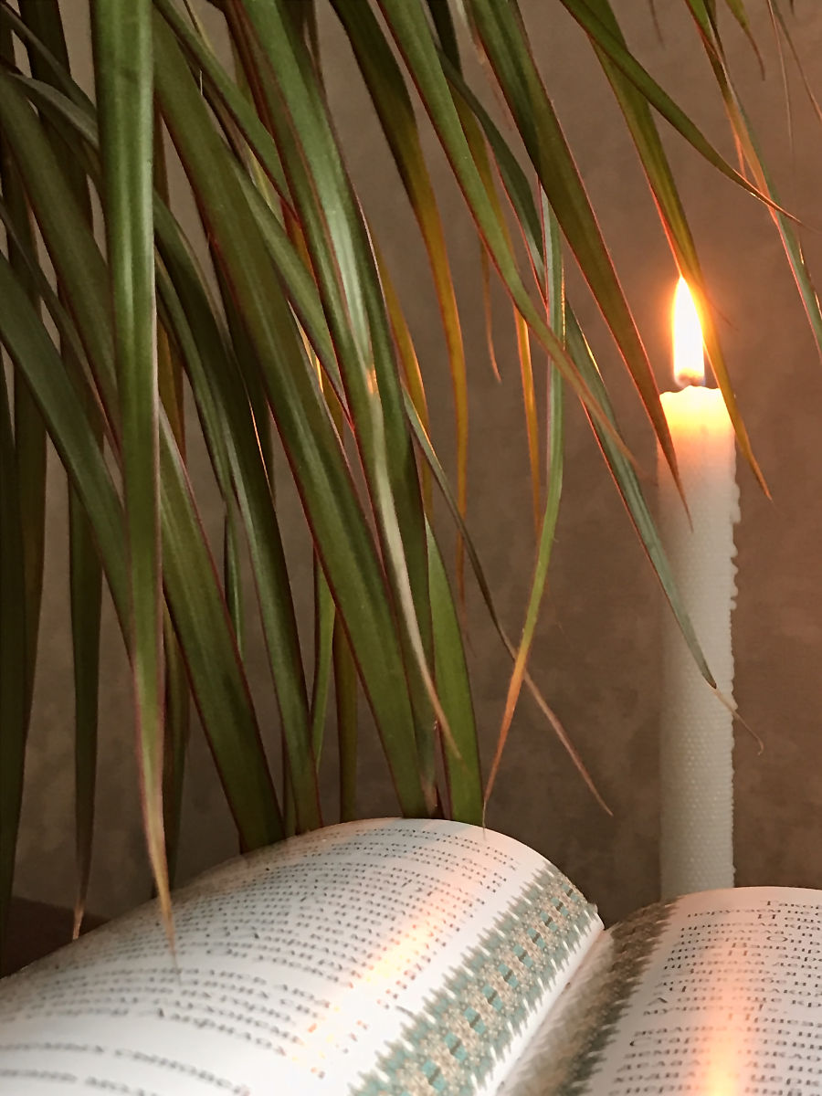 读书的意义:享受、启迪、修养、追求 读书的意义:享受、启迪、修养、追求