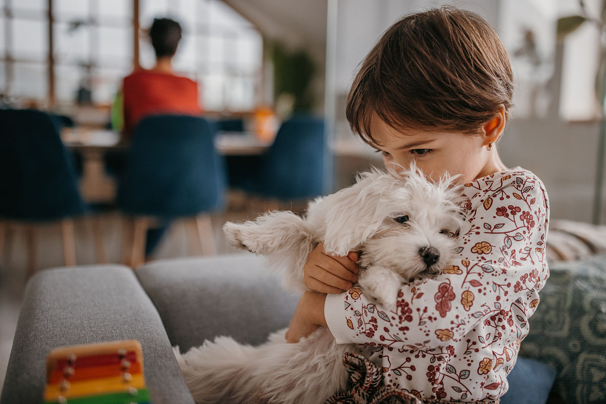 如何安慰失去宠物的女孩：实用建议和感同身受的陪伴