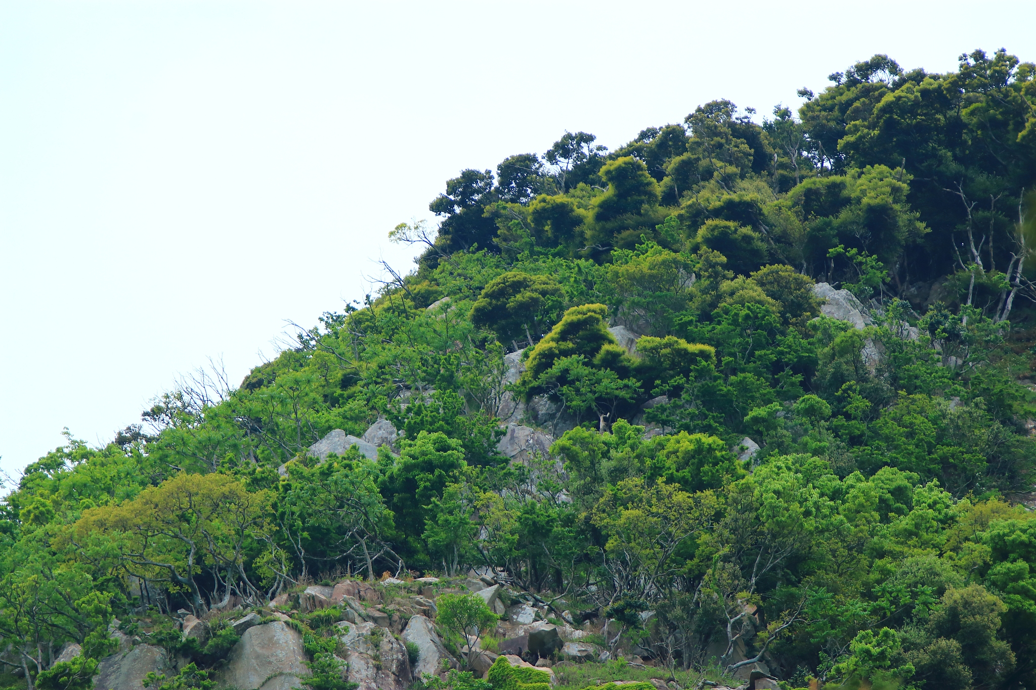mountain mountain, temple, mountain gulsa,
