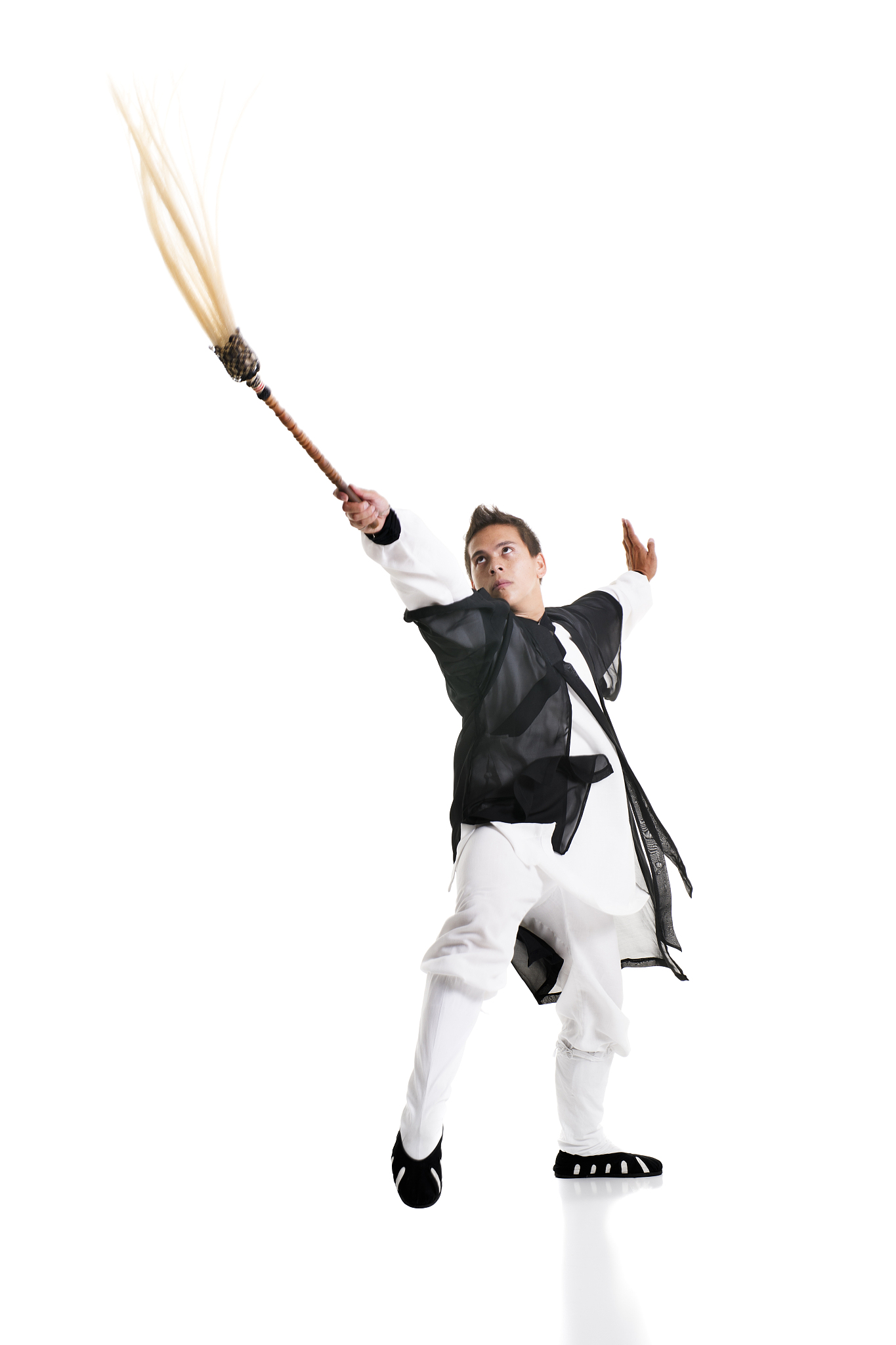 kung fu master