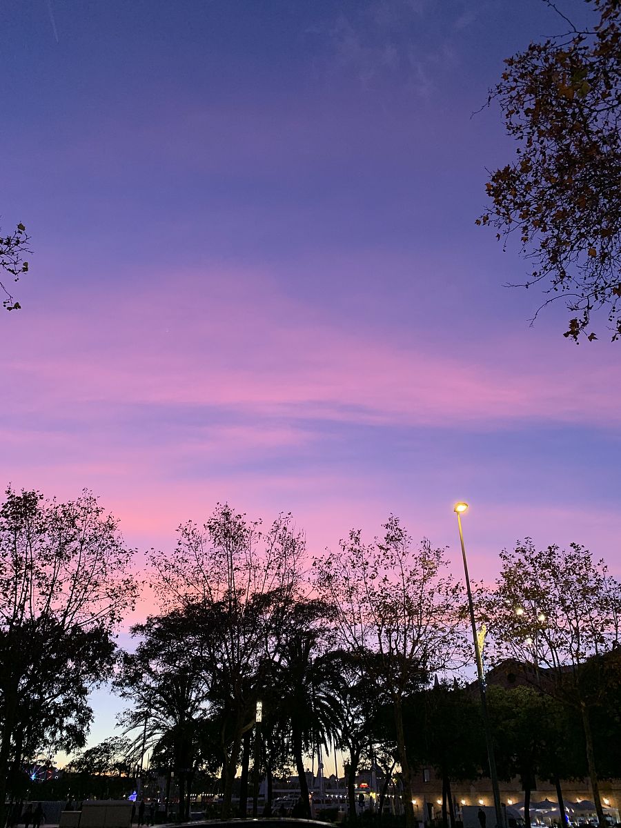 魅族20 Pro 星辰紫：拍摄令人陶醉的紫色云彩