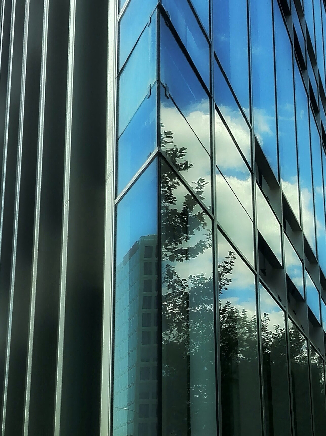 full frame shot of modern glass building in city