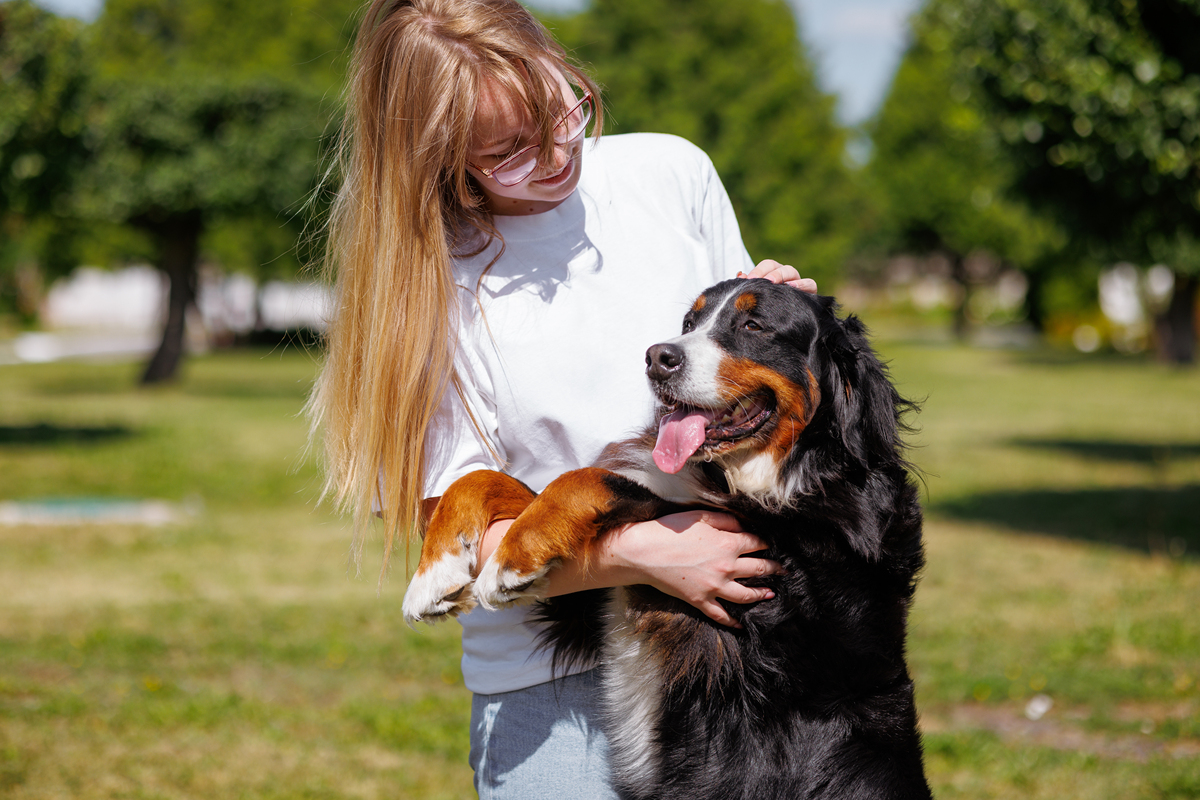 如何让家里的狗接受猫