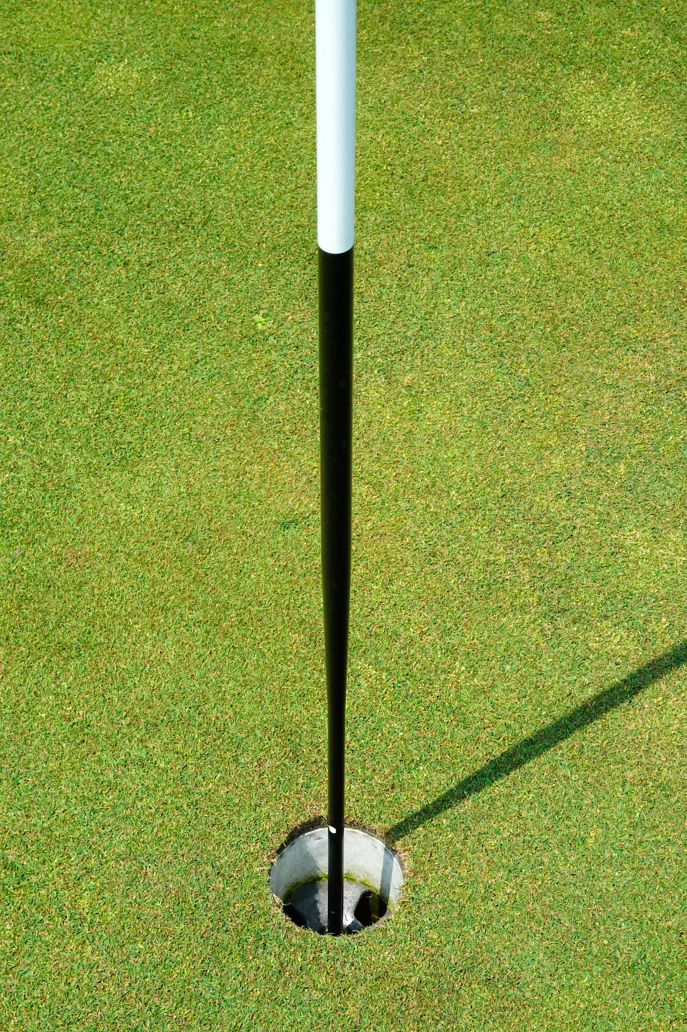 山西体育职业学院运动训练专业好就业吗-怎么样