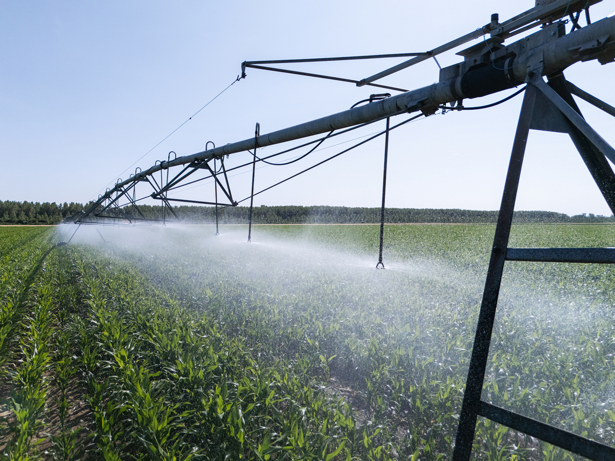 冬小麦节水高产灌溉方案研究：为冬小麦主产区提供理论依据