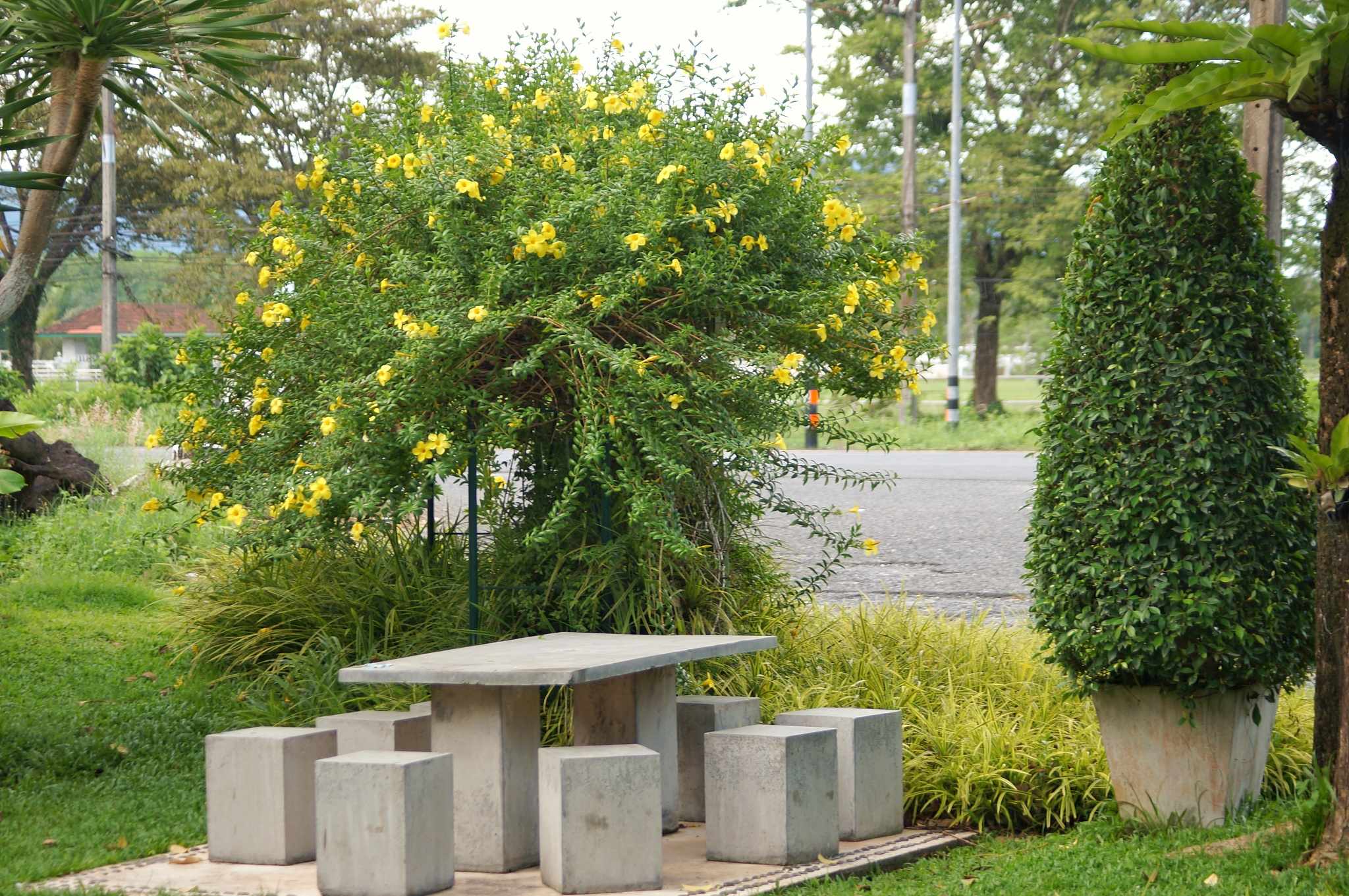 河南科技学院园林专业课程