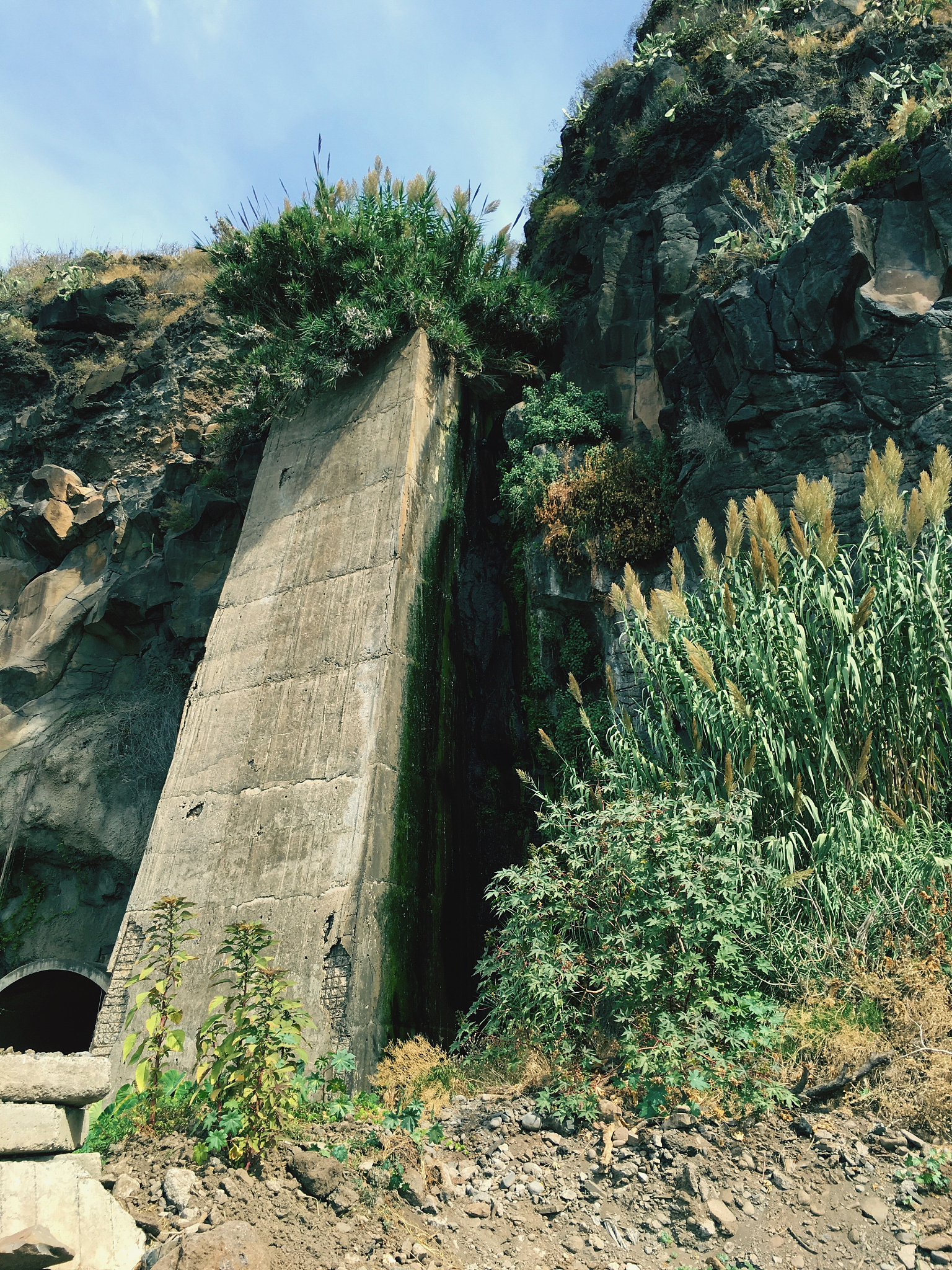 我馆启动青山村旅游地质调查项目