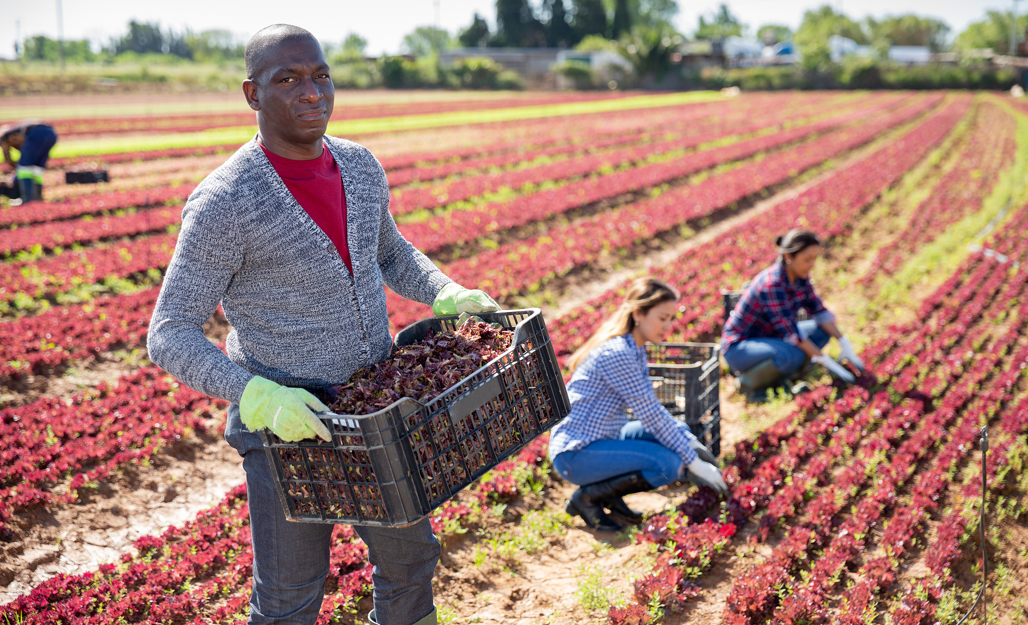 曲靖市农业学校2019年招生简章：初中起点专科，培养农业人才