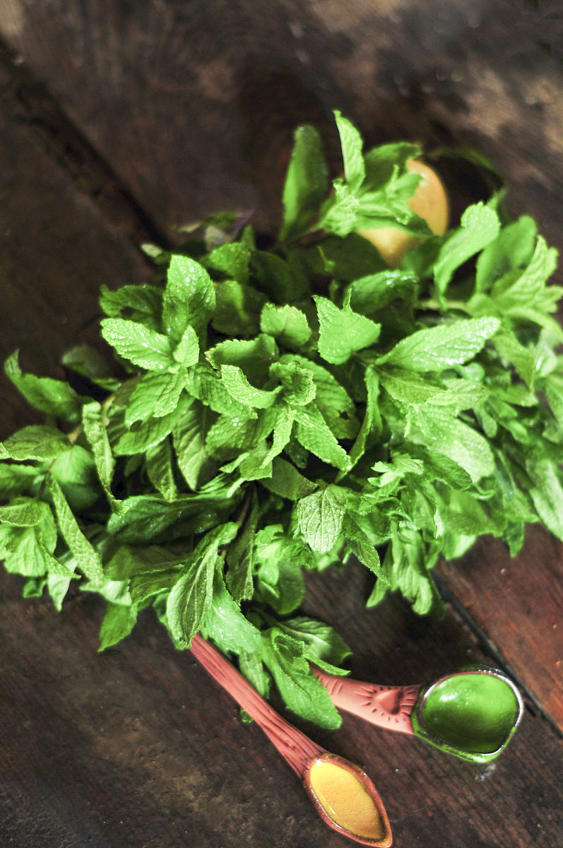 为什么很多人吃不了香菜是身体原因吗？