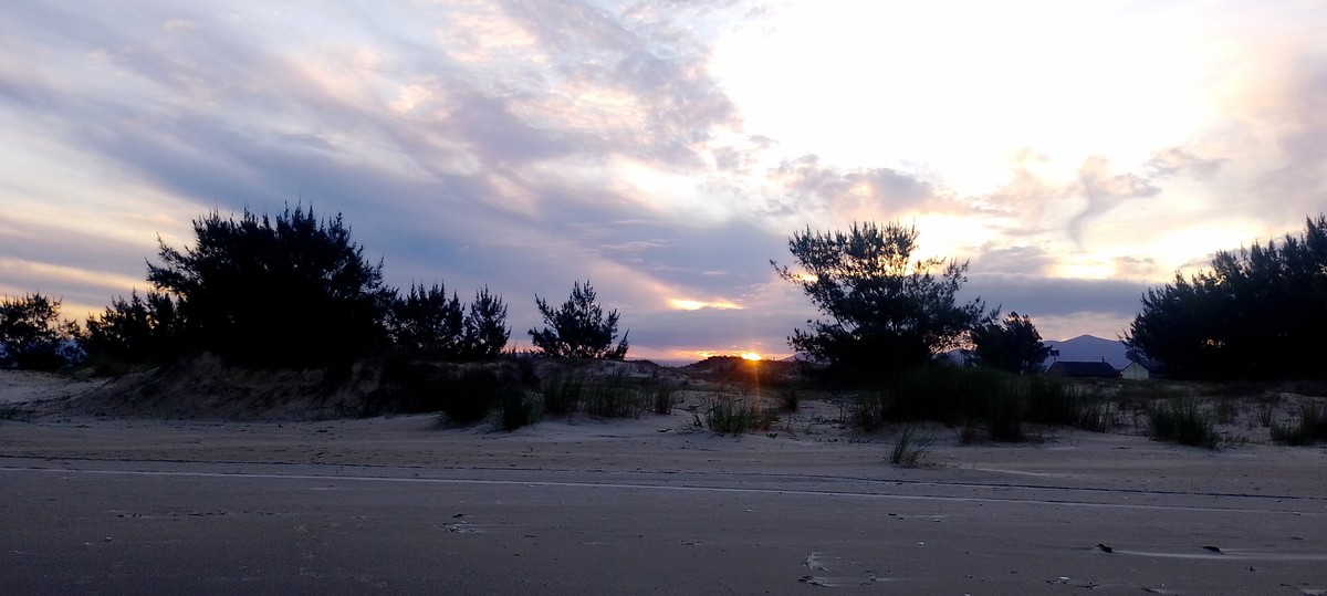 提升摄影水平的7个实用技巧：从基础到进阶