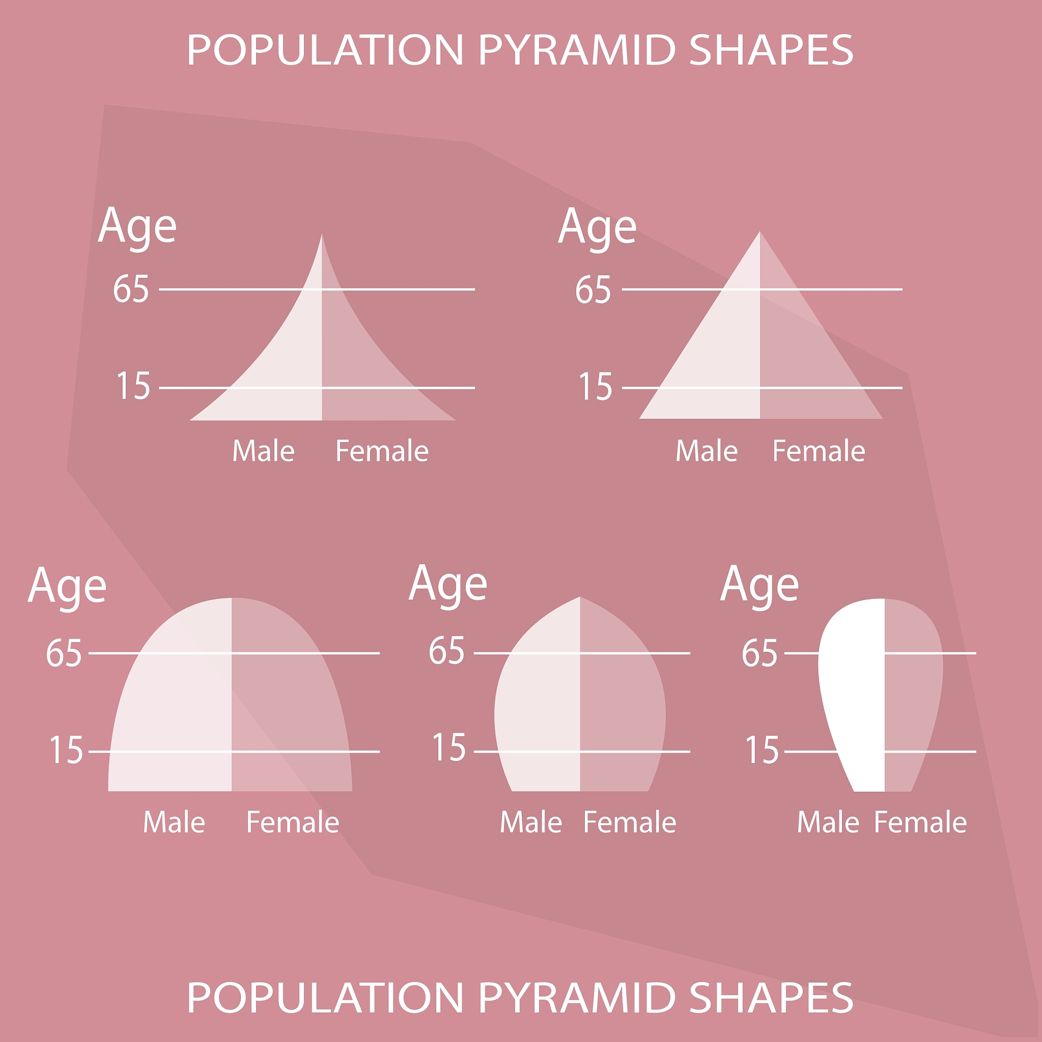 antv G2Plot 漏斗图旋转180度