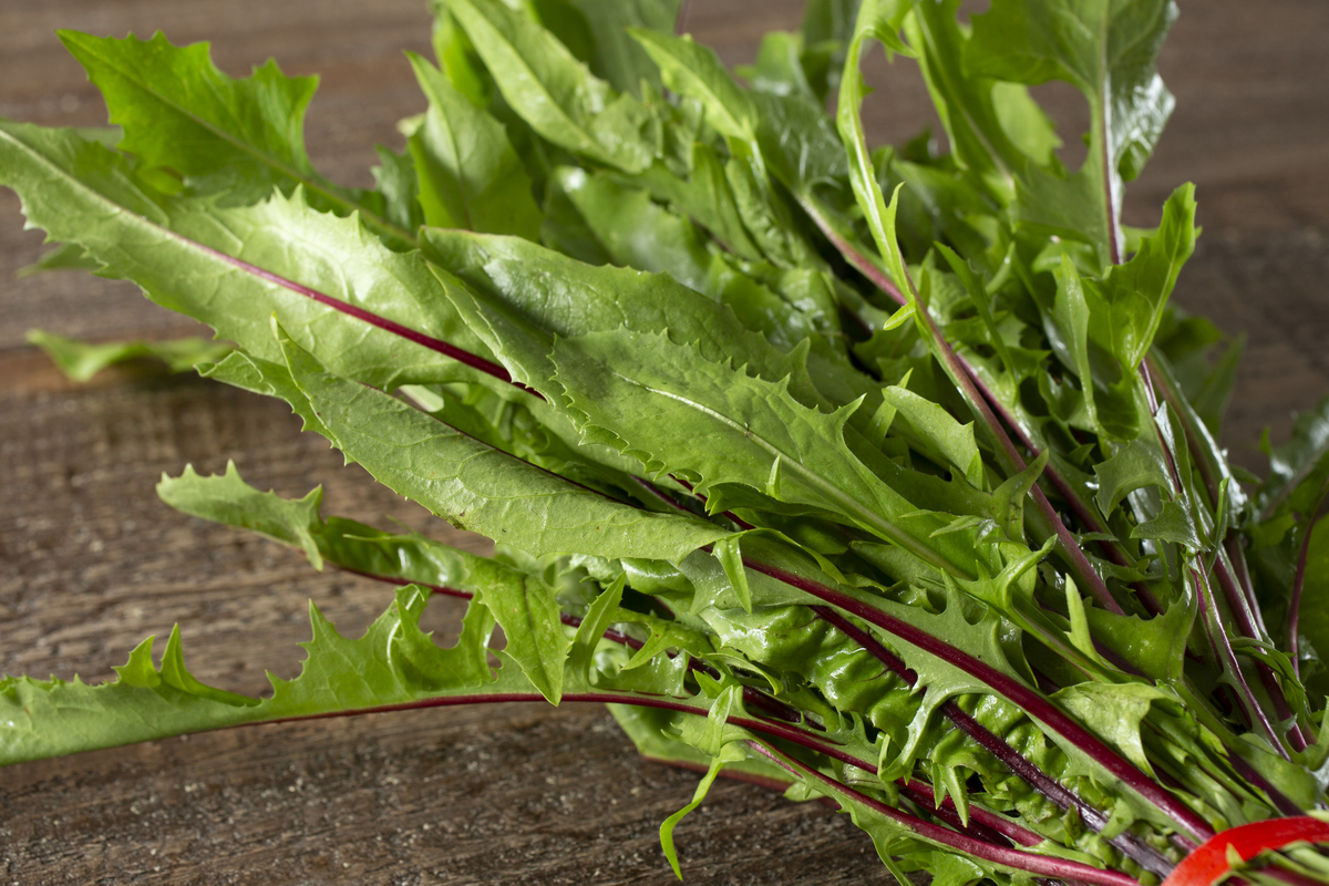 胃部不适？试试江苏灌南苦菜汤！