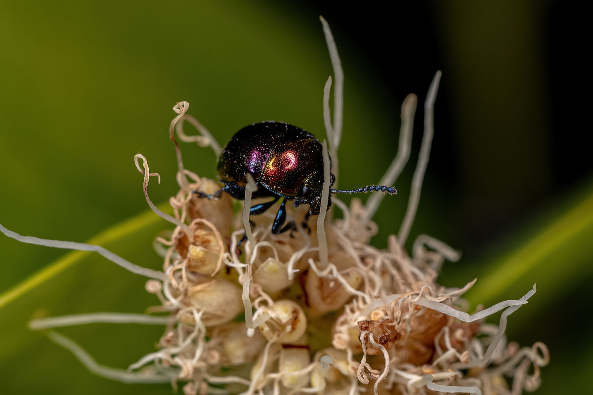 厦门成人技校速成班专业介绍及技校定义