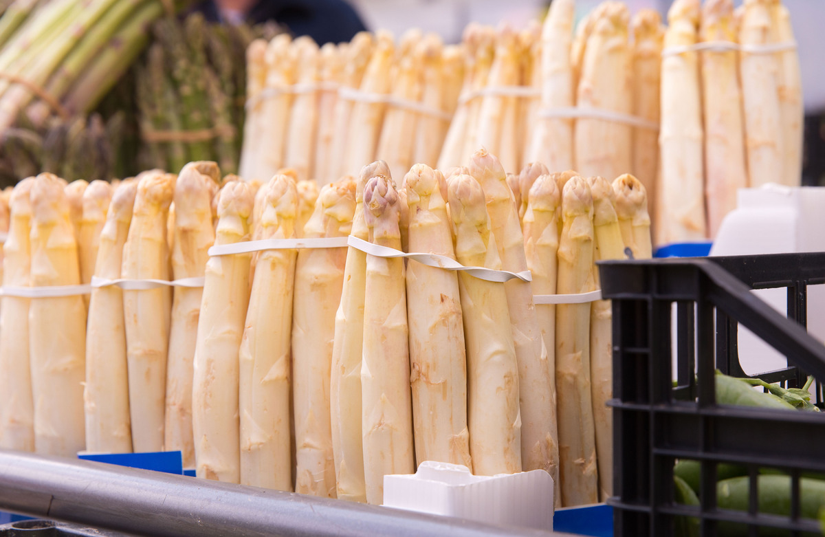 笋子怎么保存吃起新鲜，