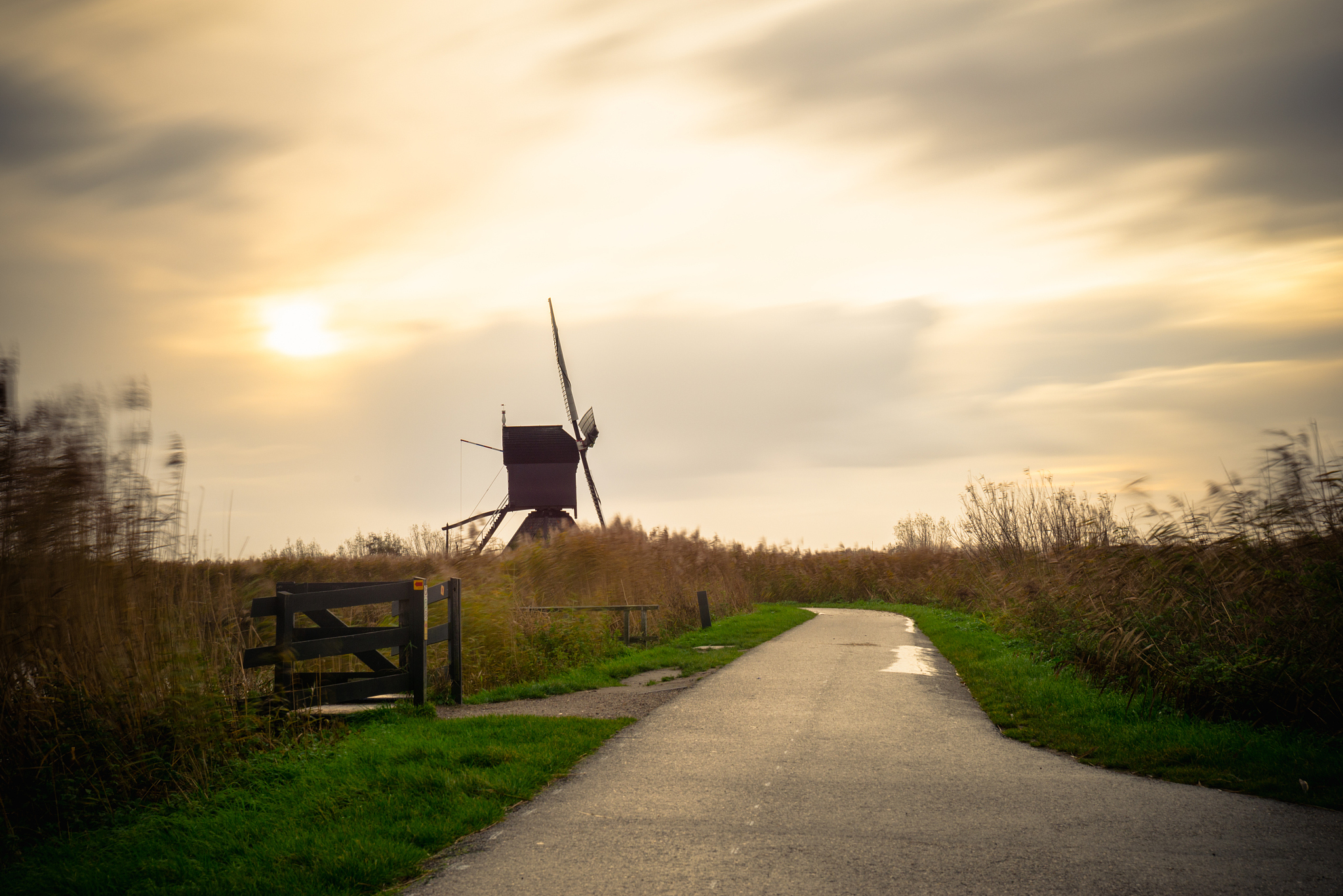 old windmills in kinderdijk at sunrise, holland, netherlands, eu