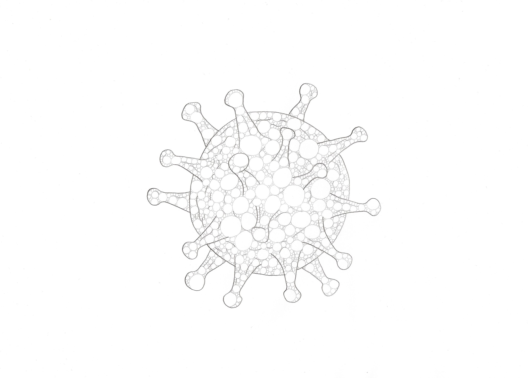 流感病毒缺损干扰颗粒产生机制