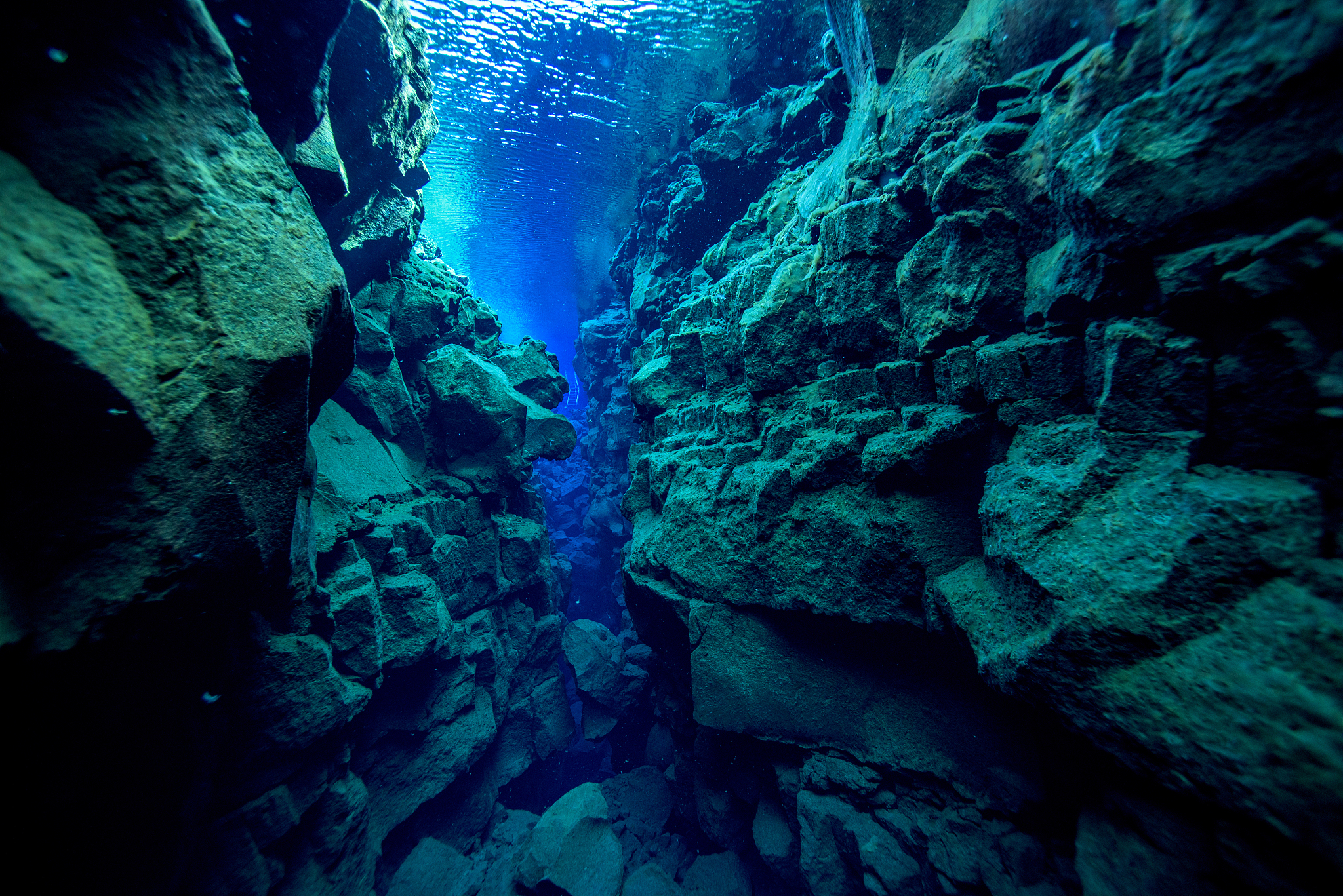 pure underwater