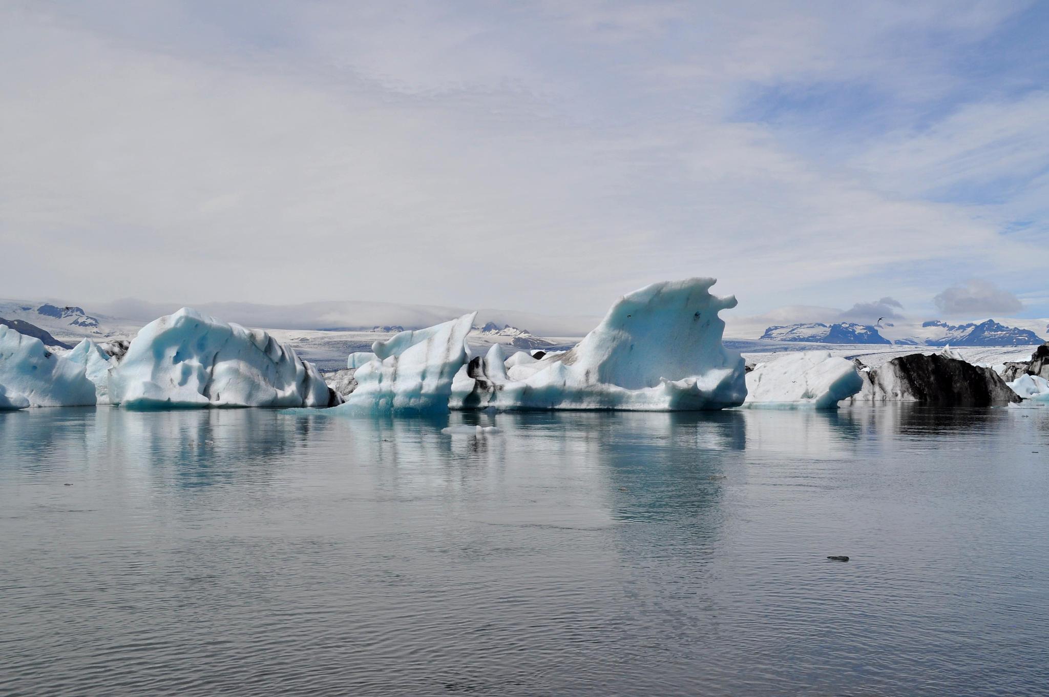 icebergs floating in sea against sky during winter