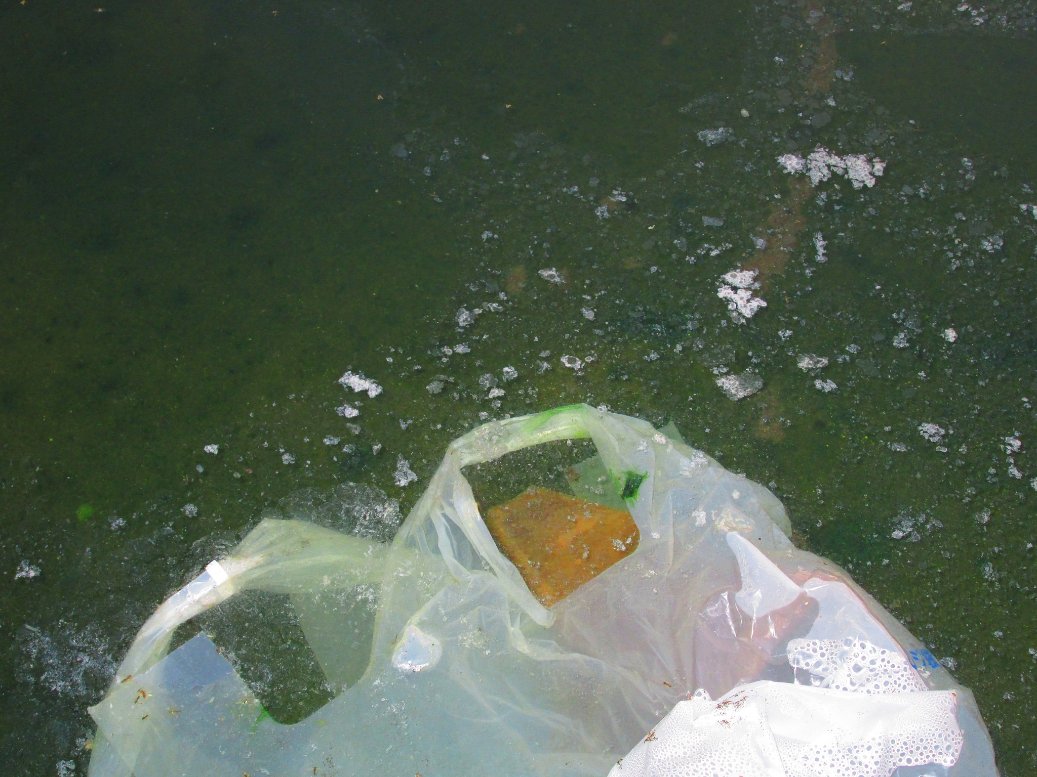 请写一篇关于水污染的论文