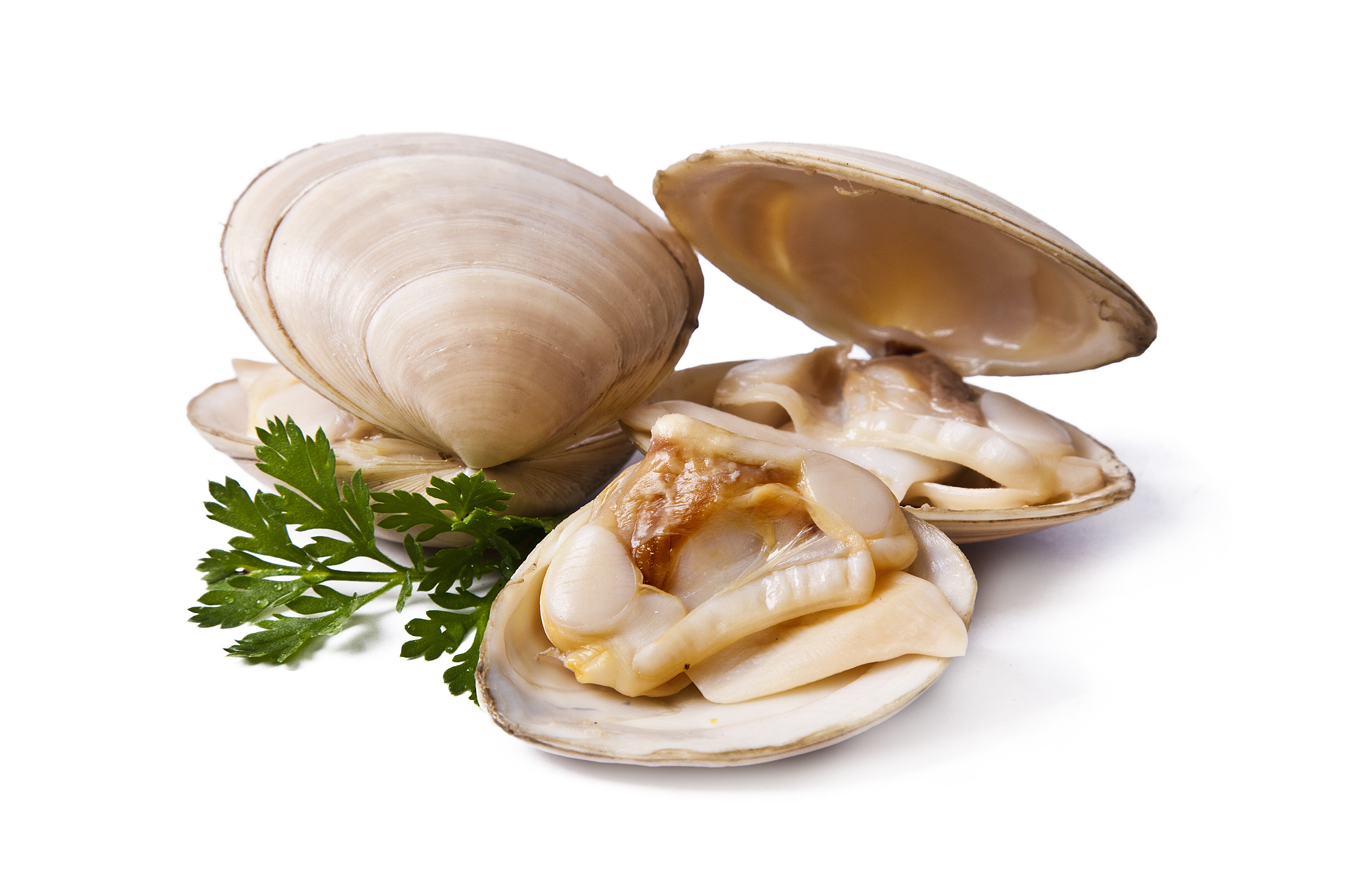 鸟贝没去内脏吃了怎么办 用250字帮我描述