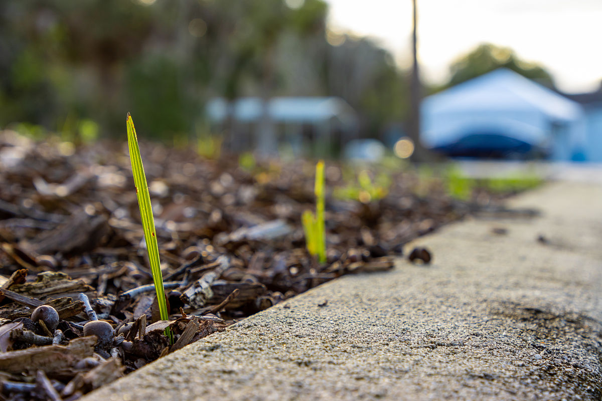 人生之路：感悟成长、发现真情实感