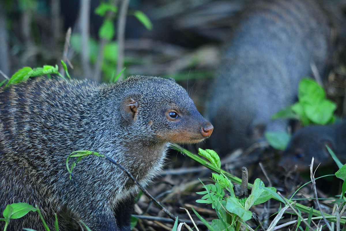 雅安航空工业联合技工学校招生办联系电话地址