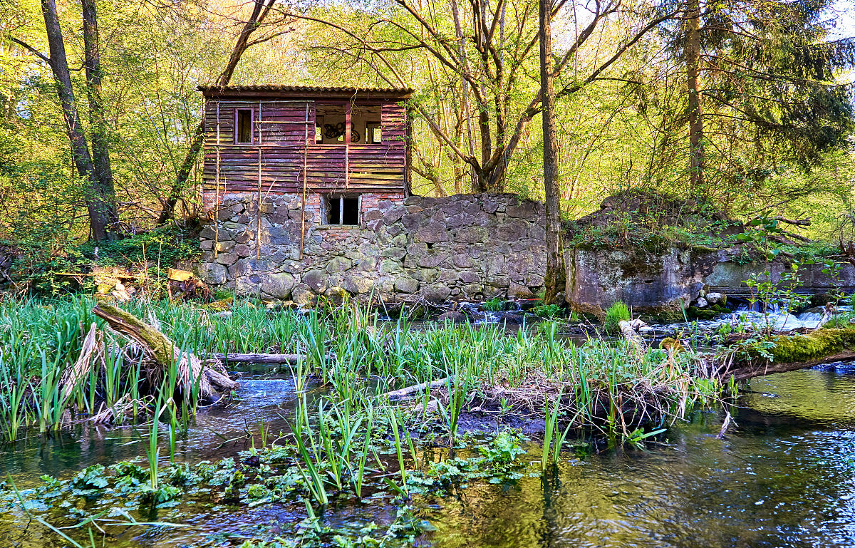 瓦尔登湖读后感：梭罗的简朴生活与人生思考