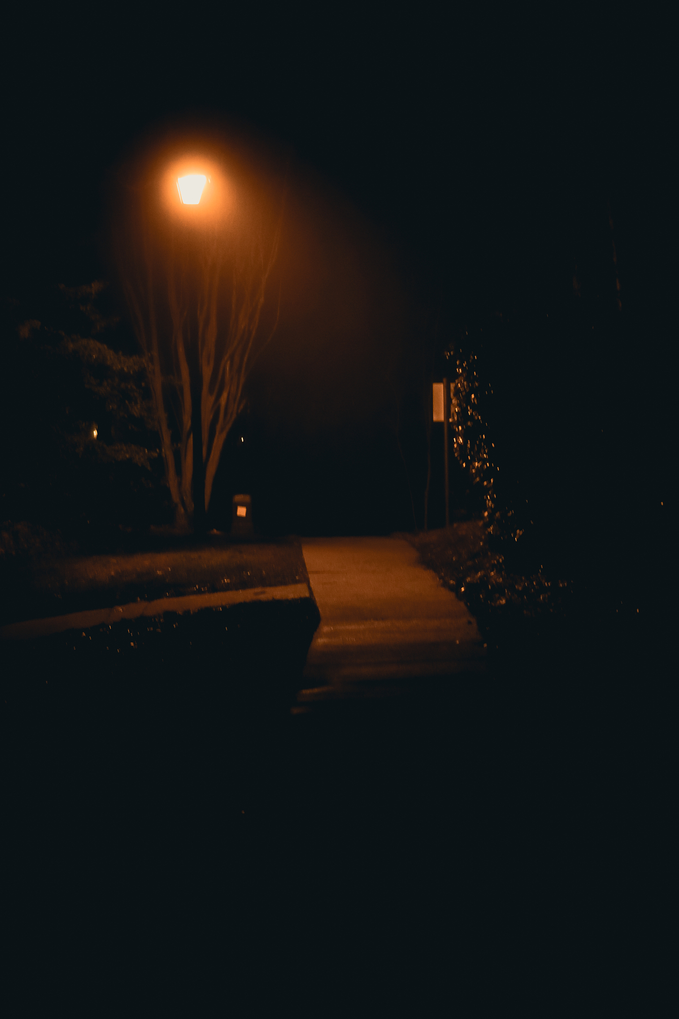 night